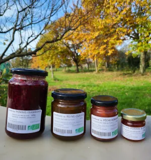 annie boux (baudier)