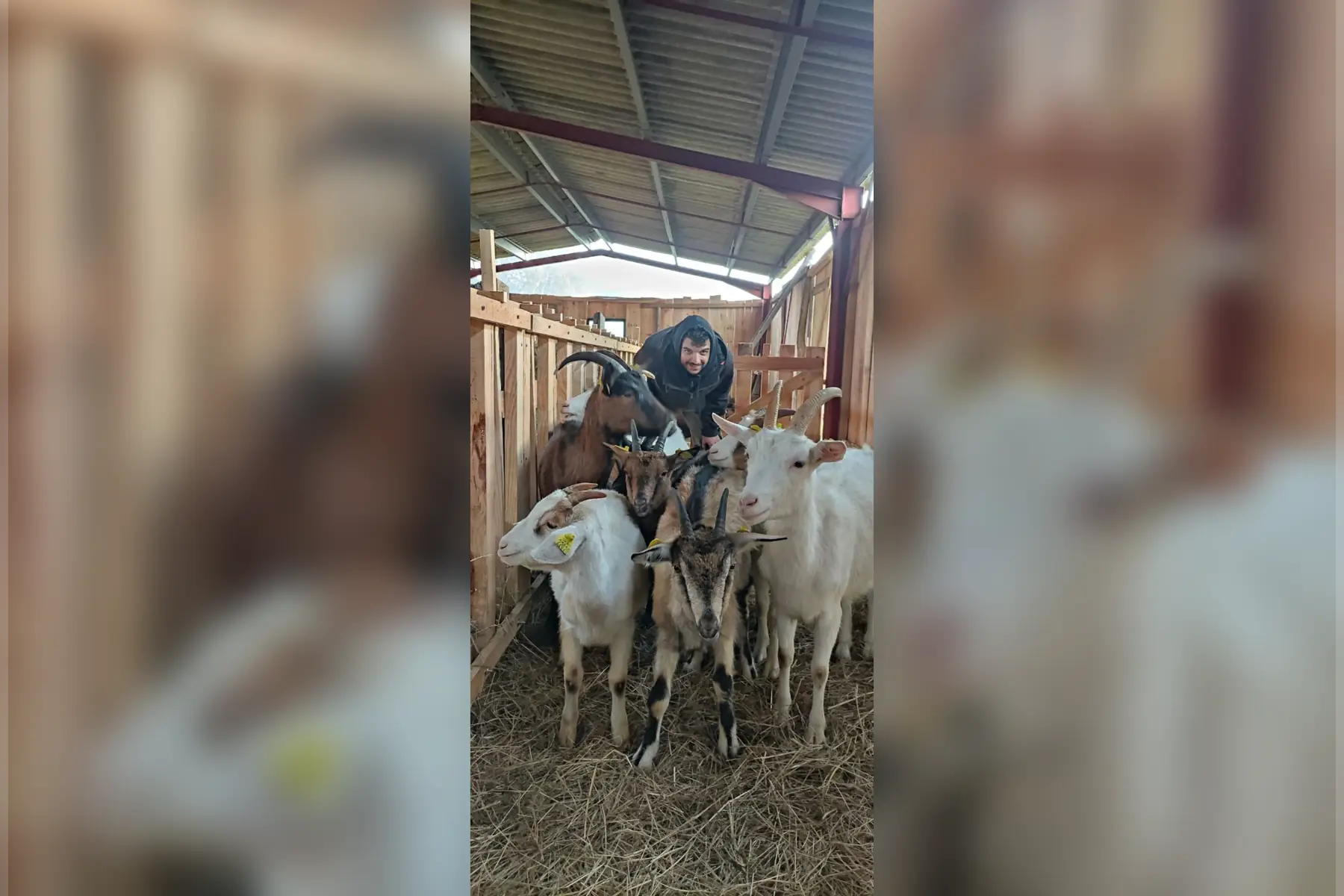 la ferme du grand loup