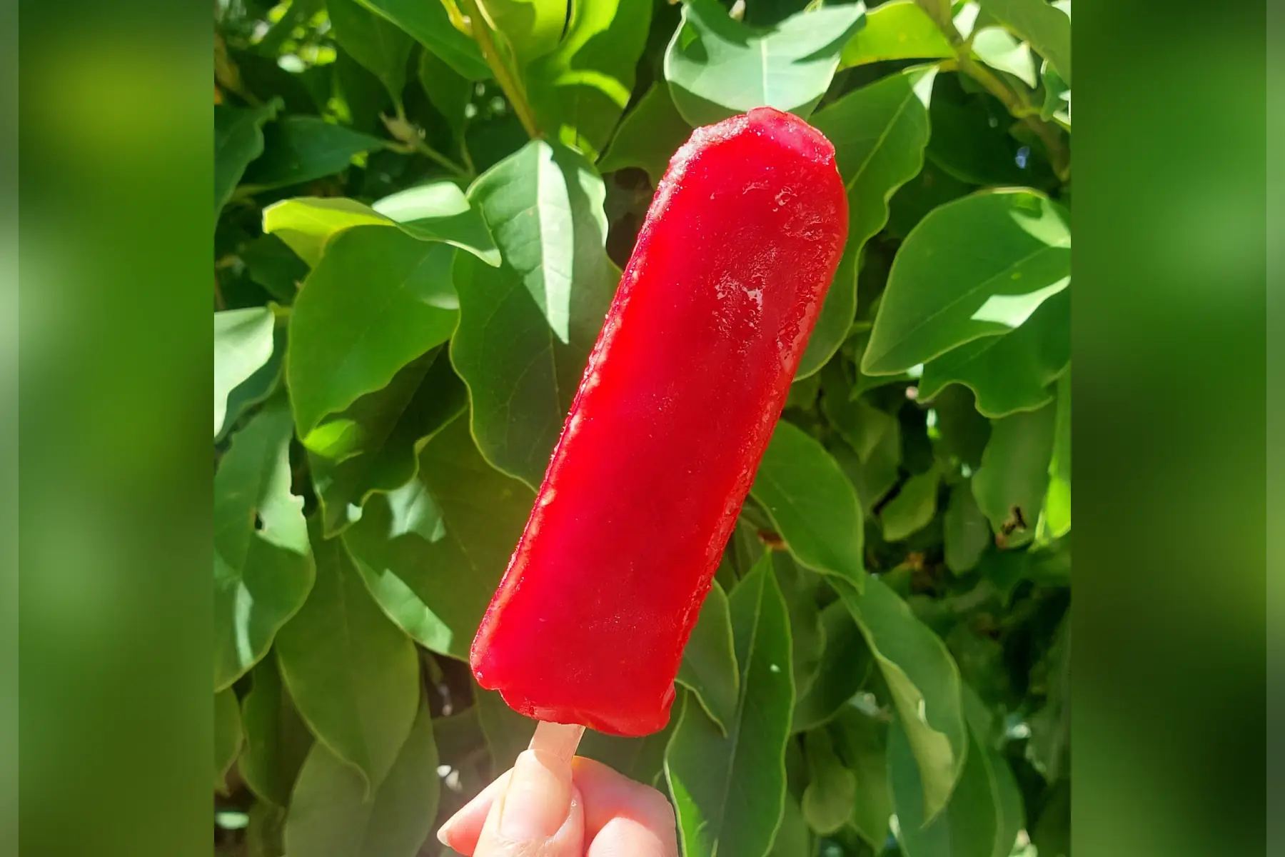 Batonnet Glacé Fraise Bio