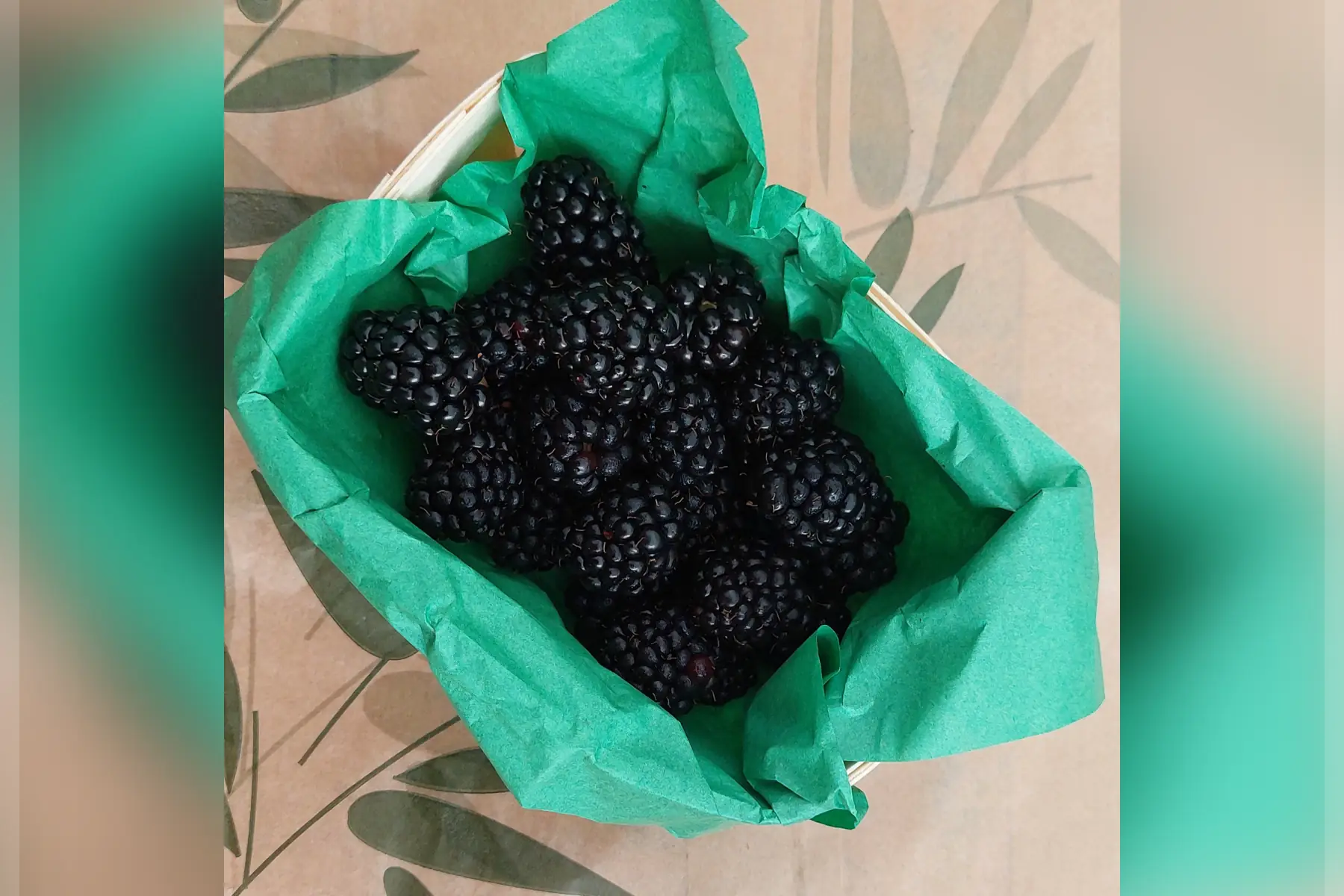 Barquette Mûre Bio