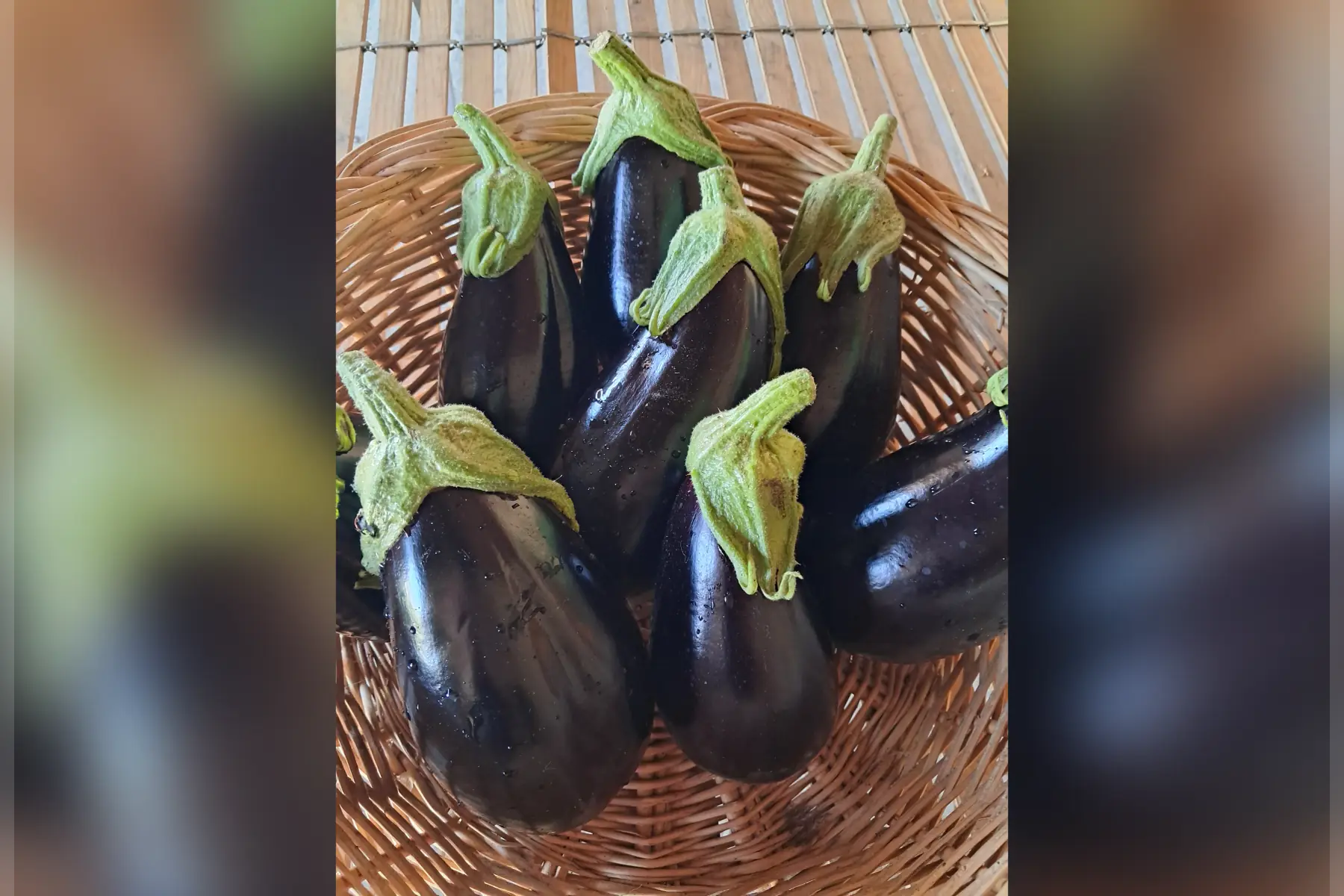 Aubergines
