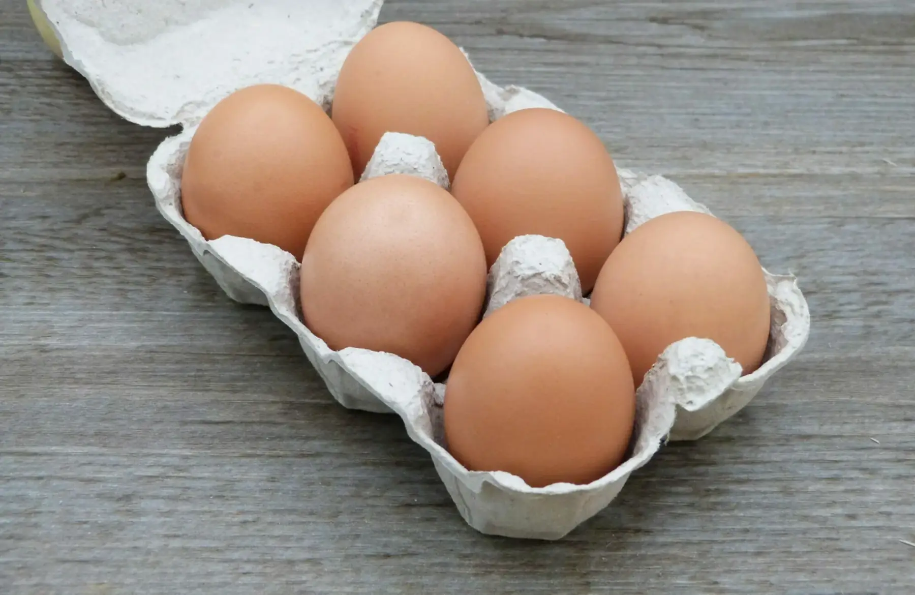 Oeufs bio