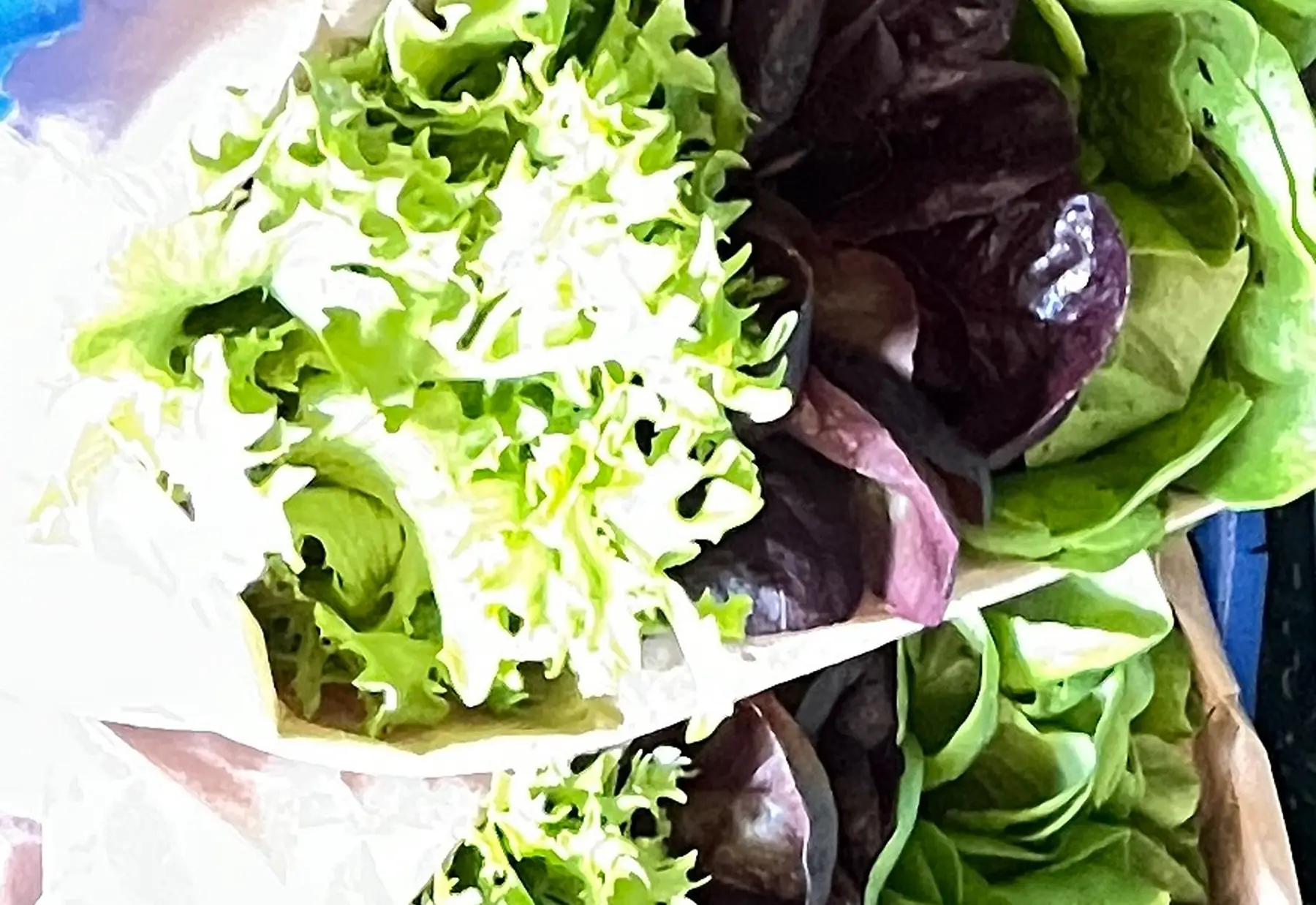 Mini saladinette