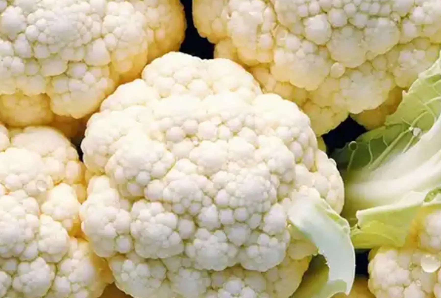 Chou fleur petit