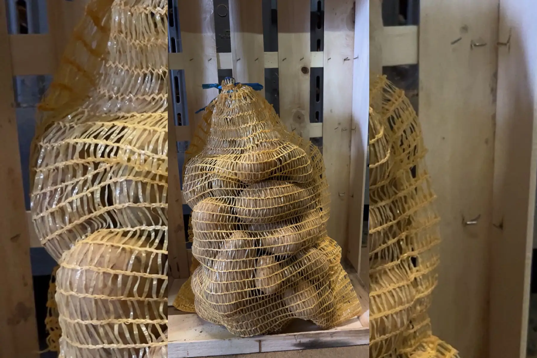 Filet de 5kg pomme de terre Gourmandine