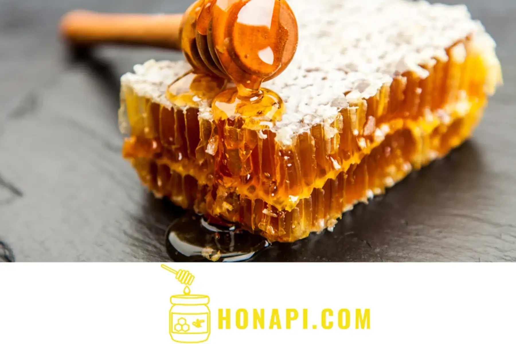 rucher famille vigneron - honapi