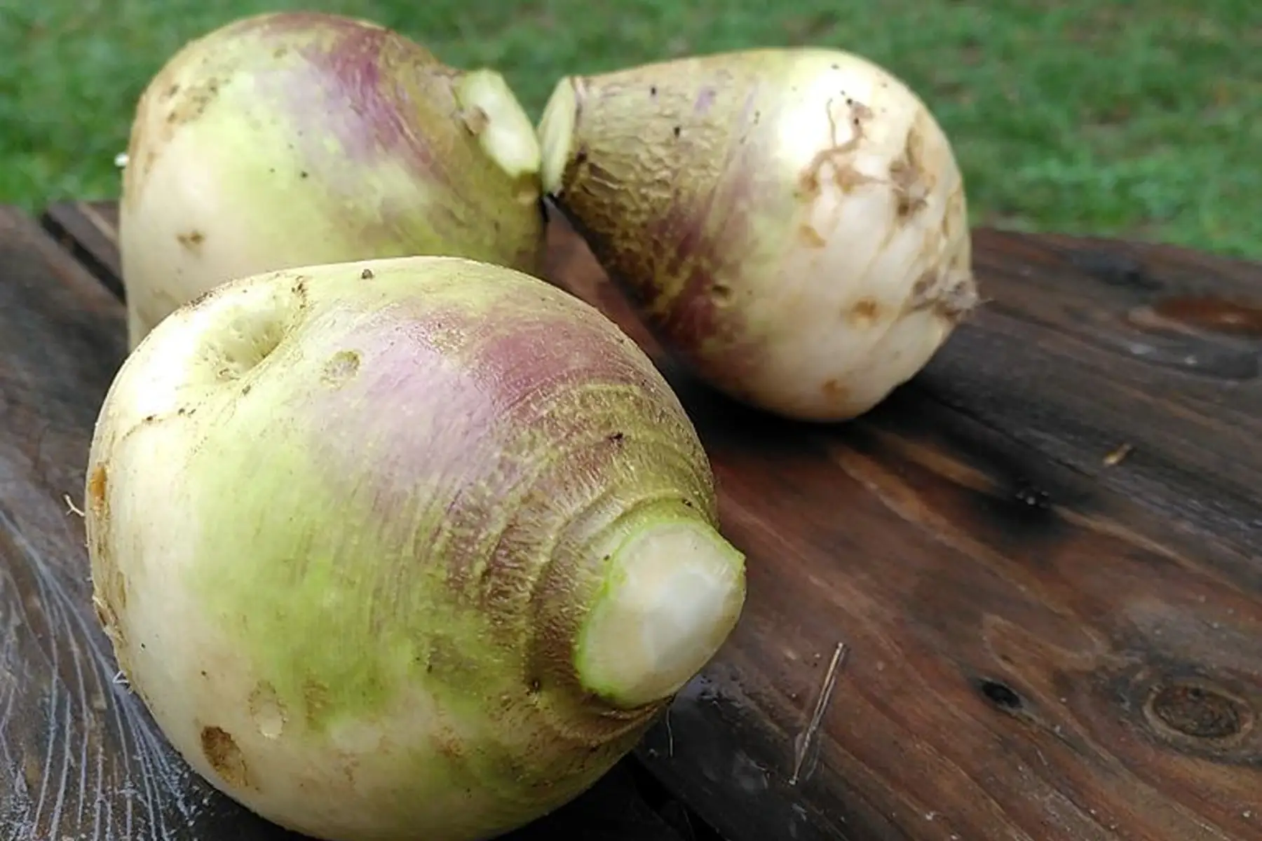 Rutabaga