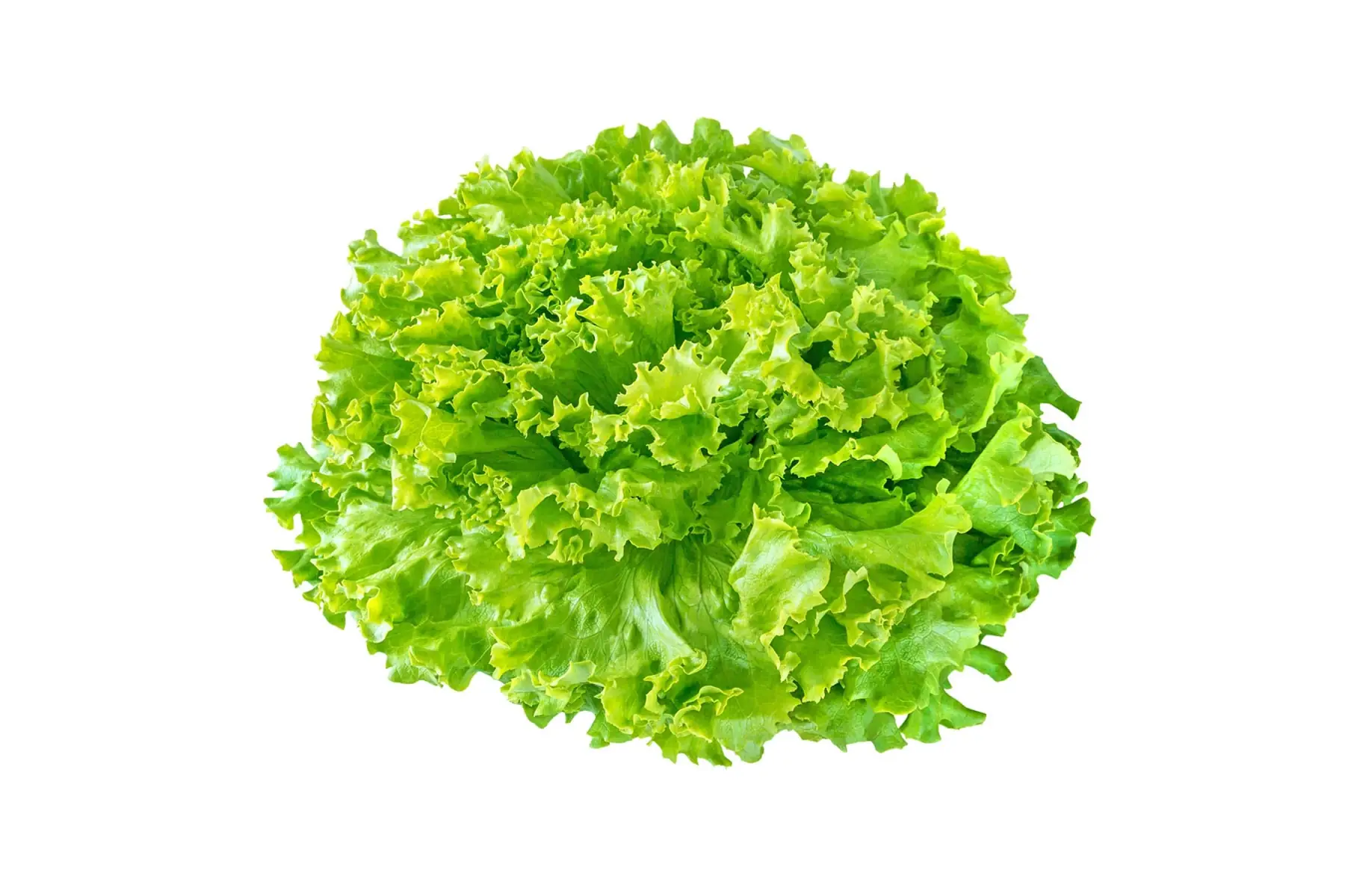 Salade