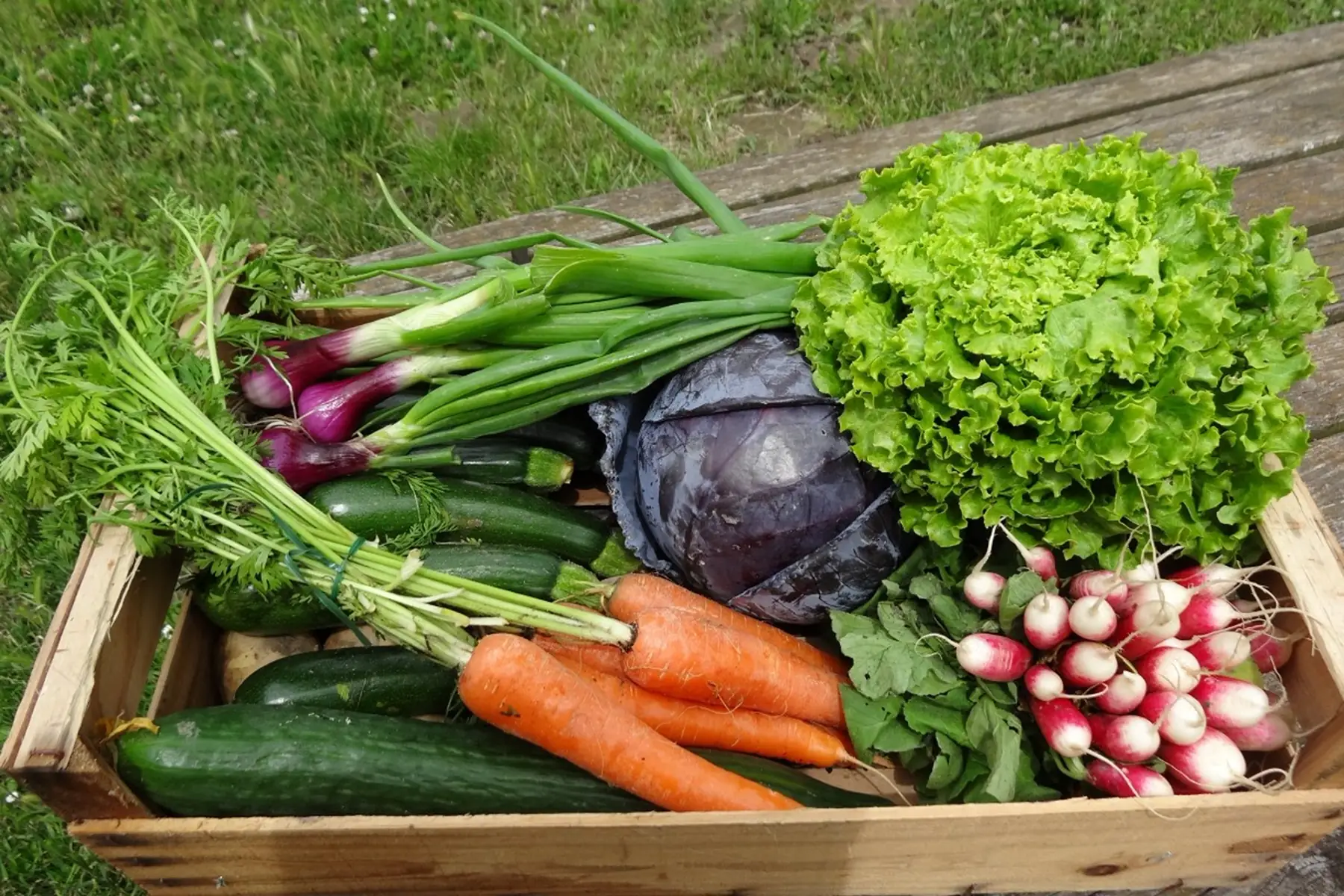 Petit panier de légumes de saison