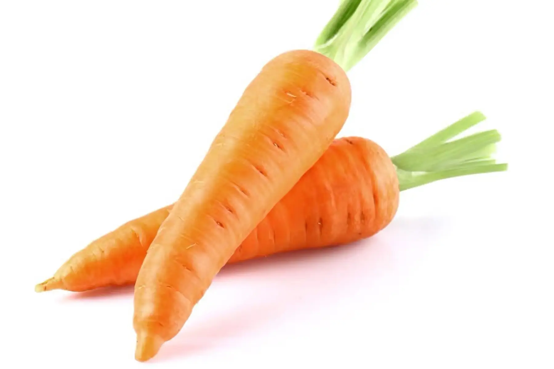 Carottes