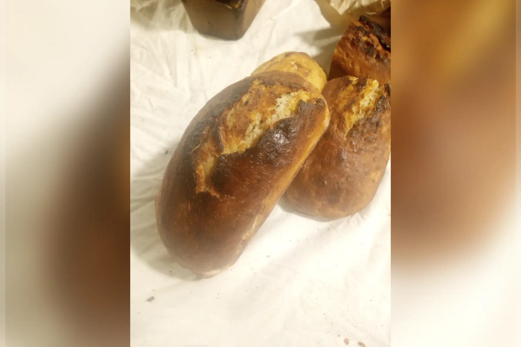 Douceur viennoise (500g) moulé