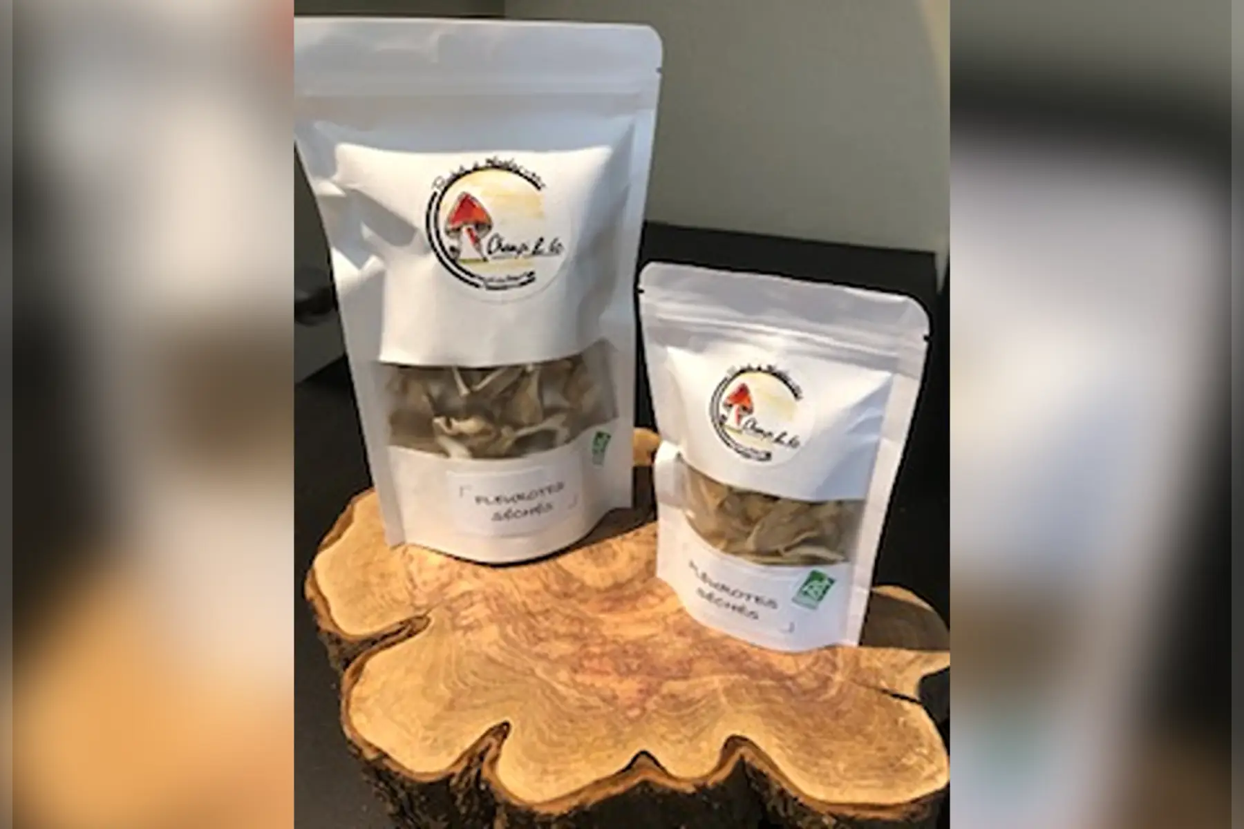 PLEUROTES BIO séchés 10G