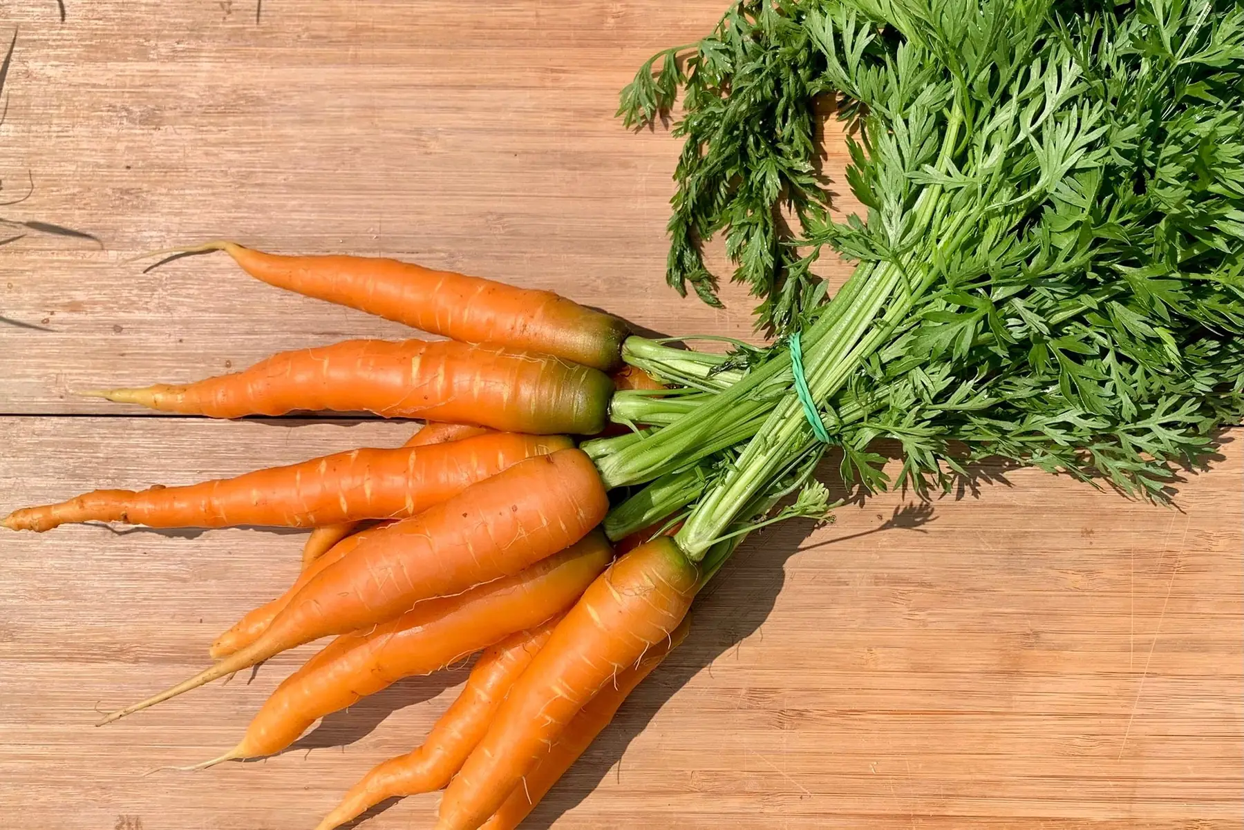 Carottes botte