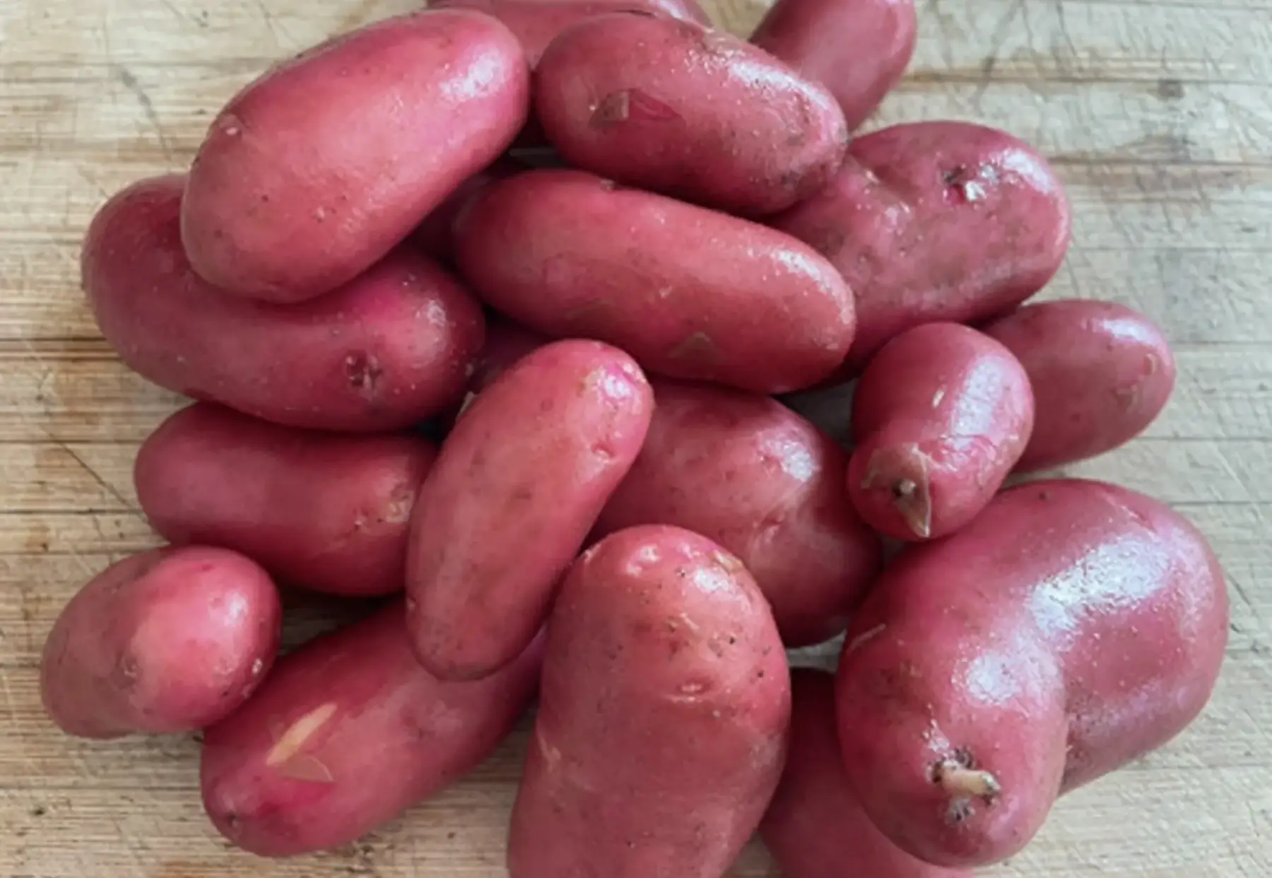Pomme de terre nouvelles - Produit au jardin