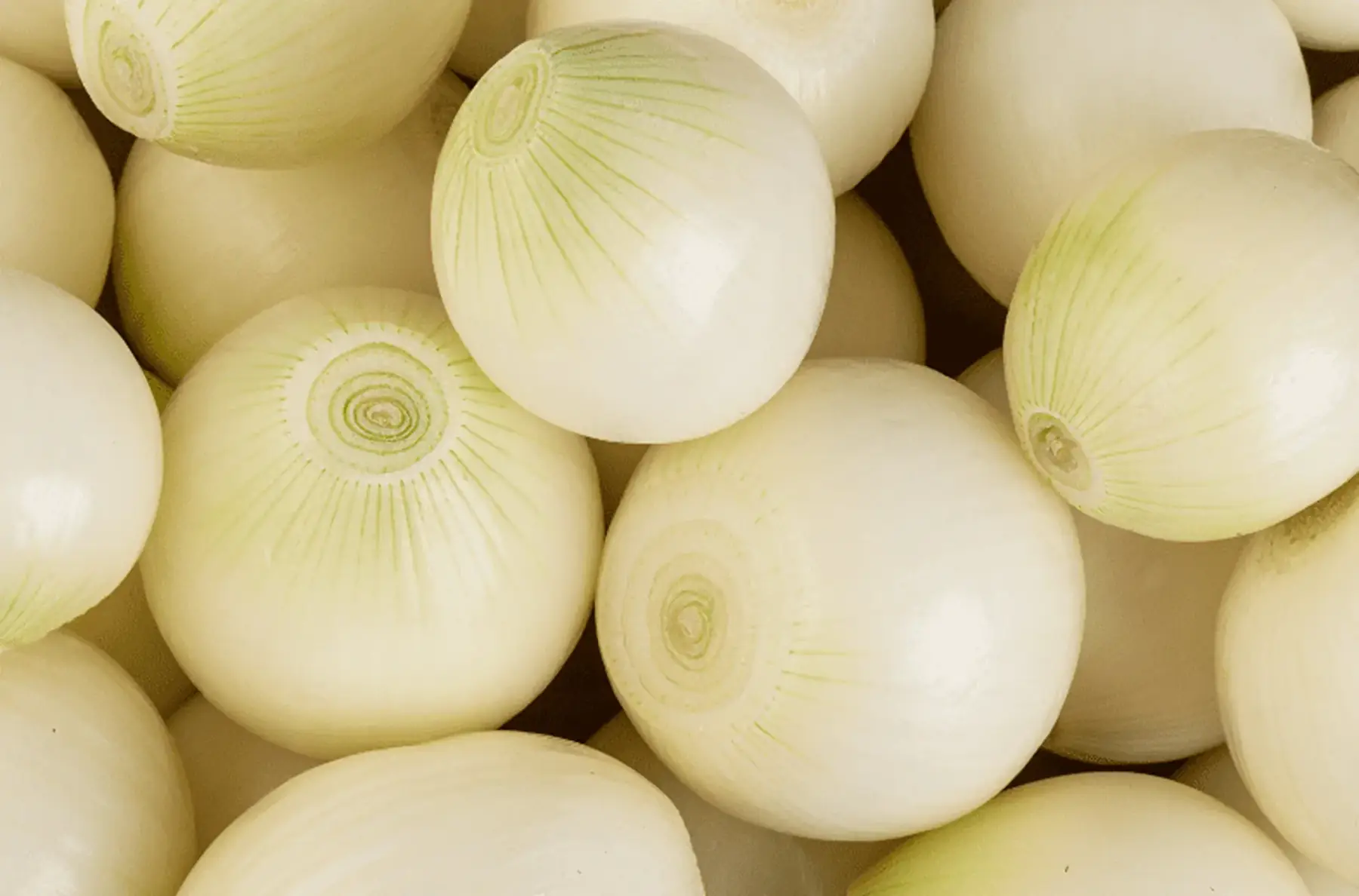 Petits oignons en vrac - Produit au jardin