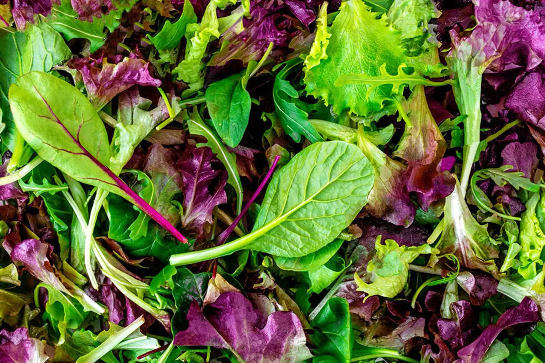 mesclun - Produit au Jardin