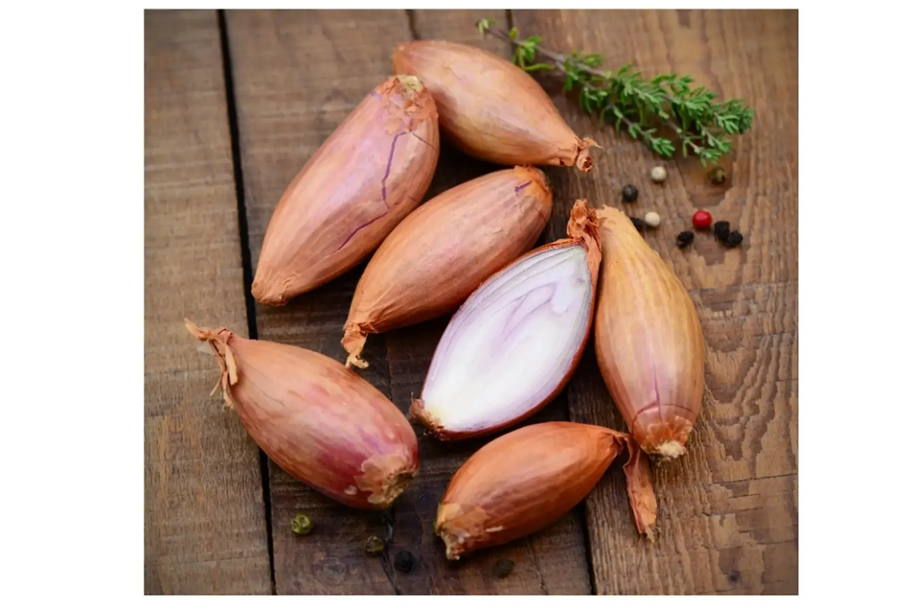 Echalotes - Produit au Jardin