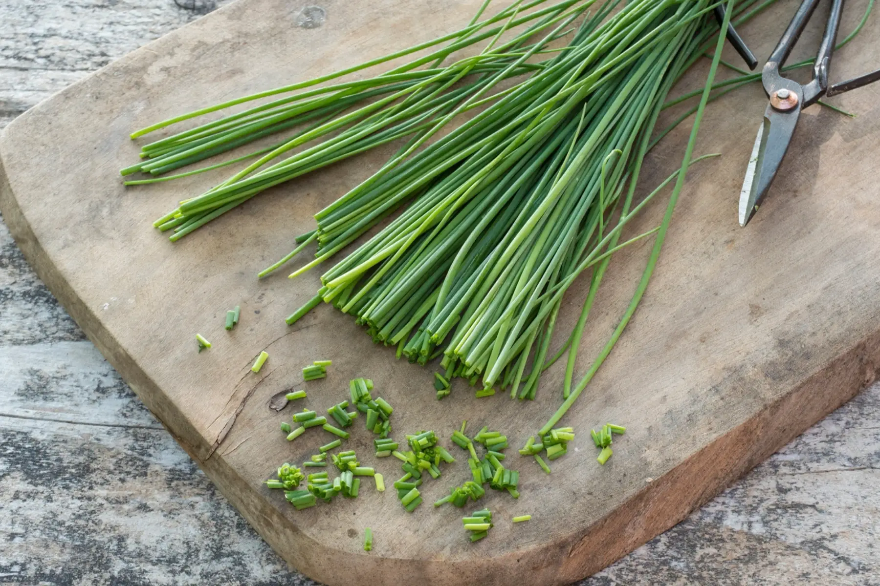 Ciboulette - Produit au jardin