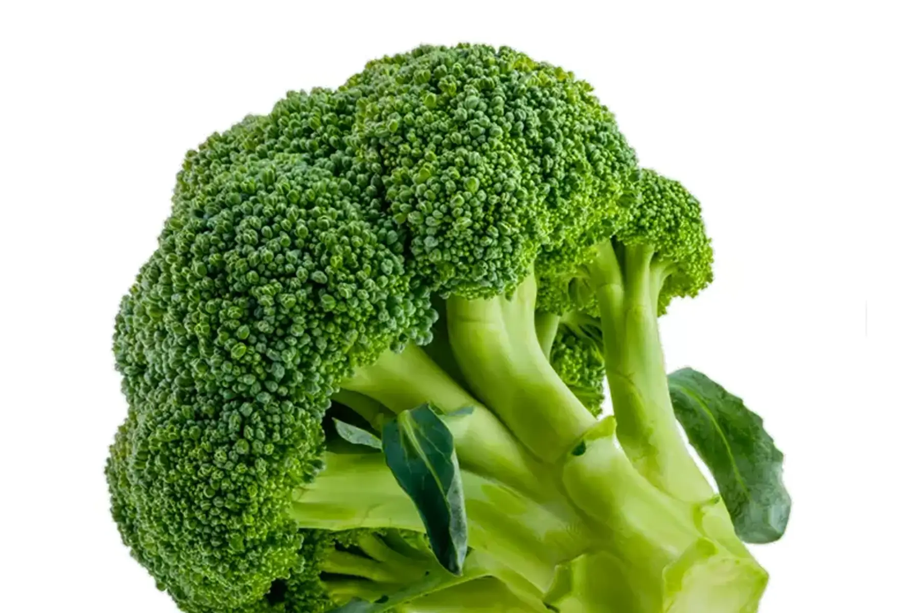 Chou brocoli