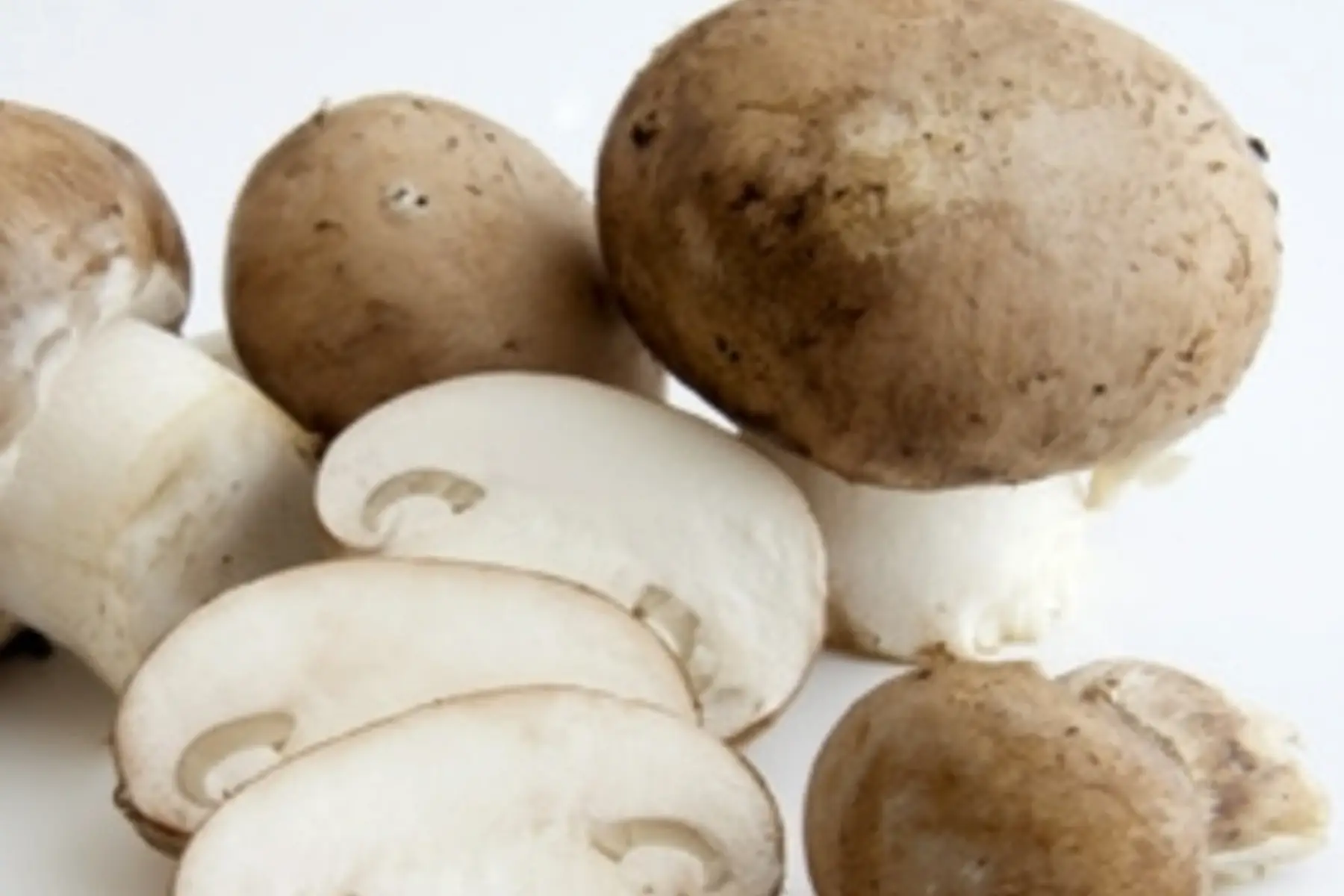 Champignons de Paris