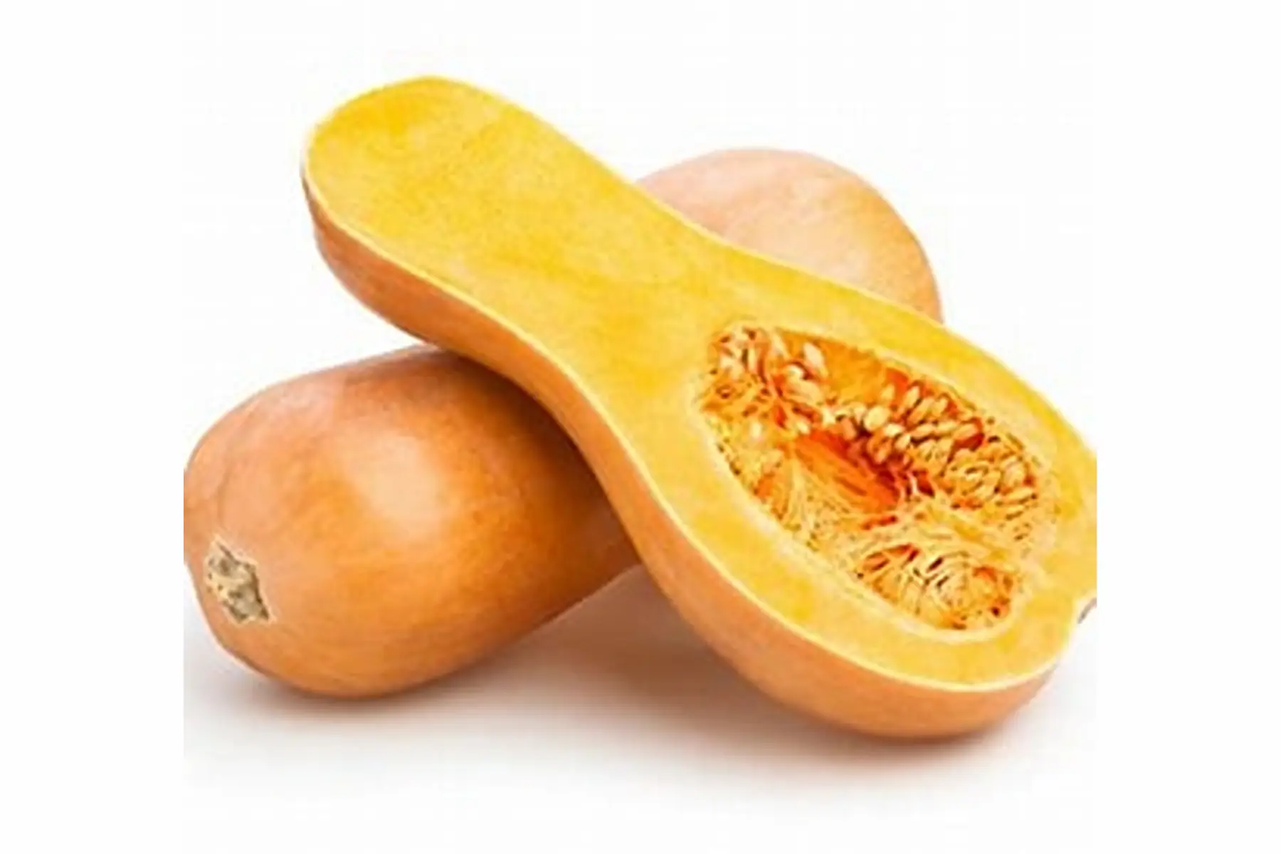 Butternut