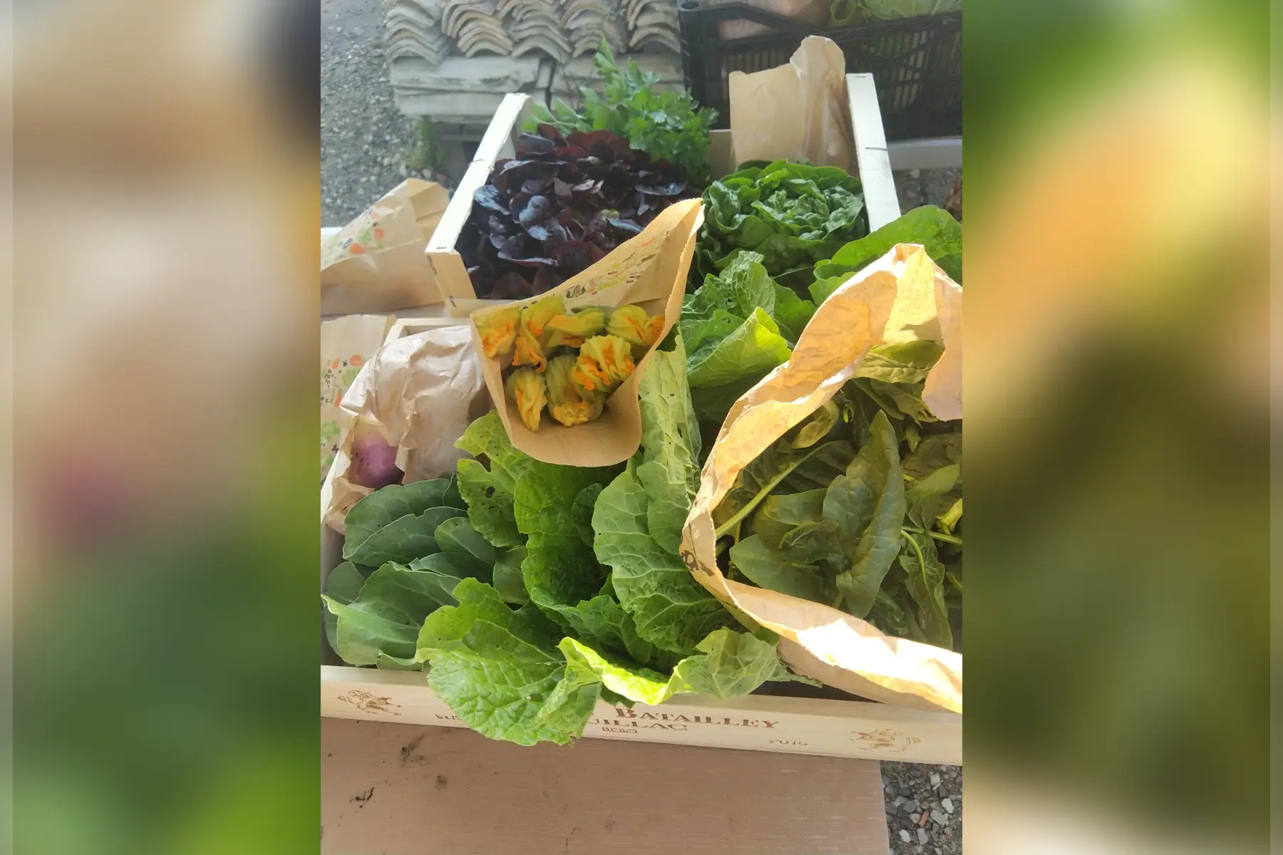 Panier maraîcher solo