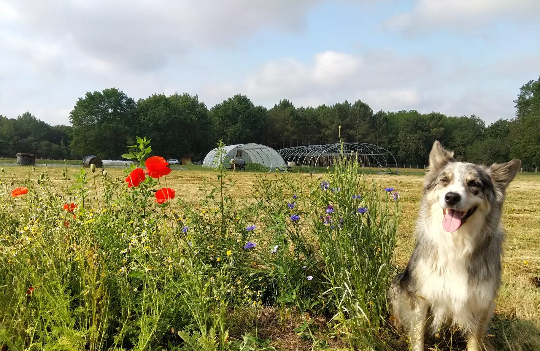 Les Jardins de Naz de Hé