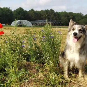 Les Jardins de Naz de Hé