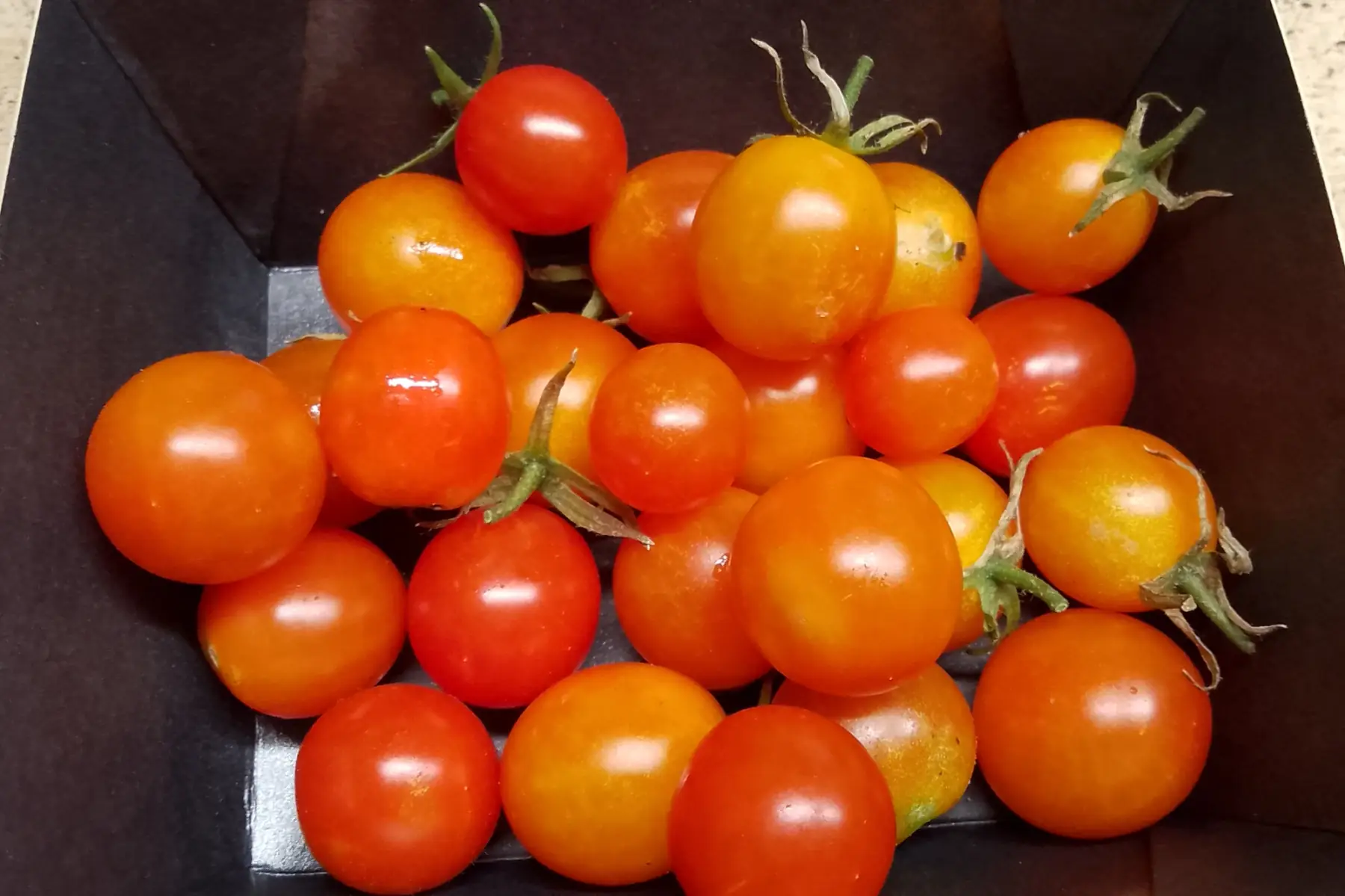 Tomates cerise a la barquette