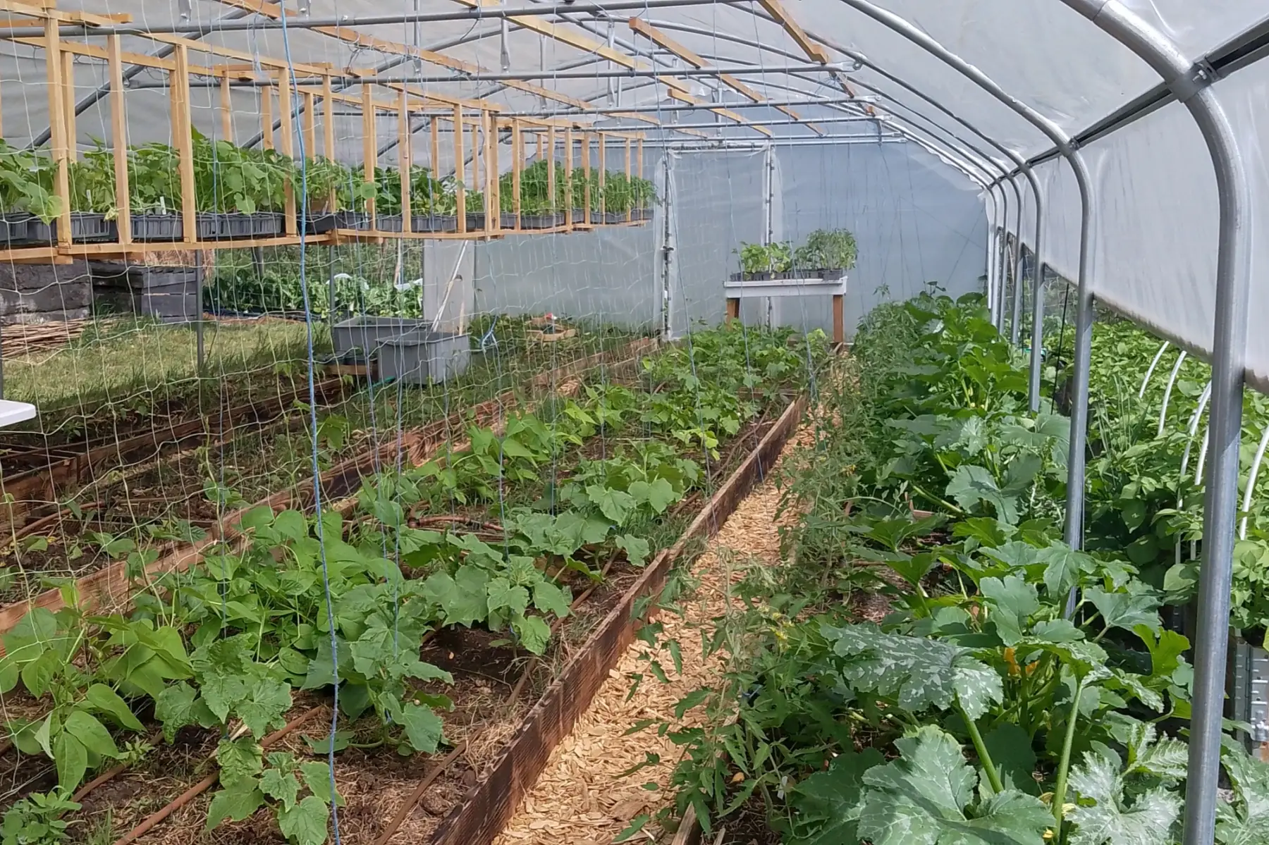 Ferme Terre et Merveilles