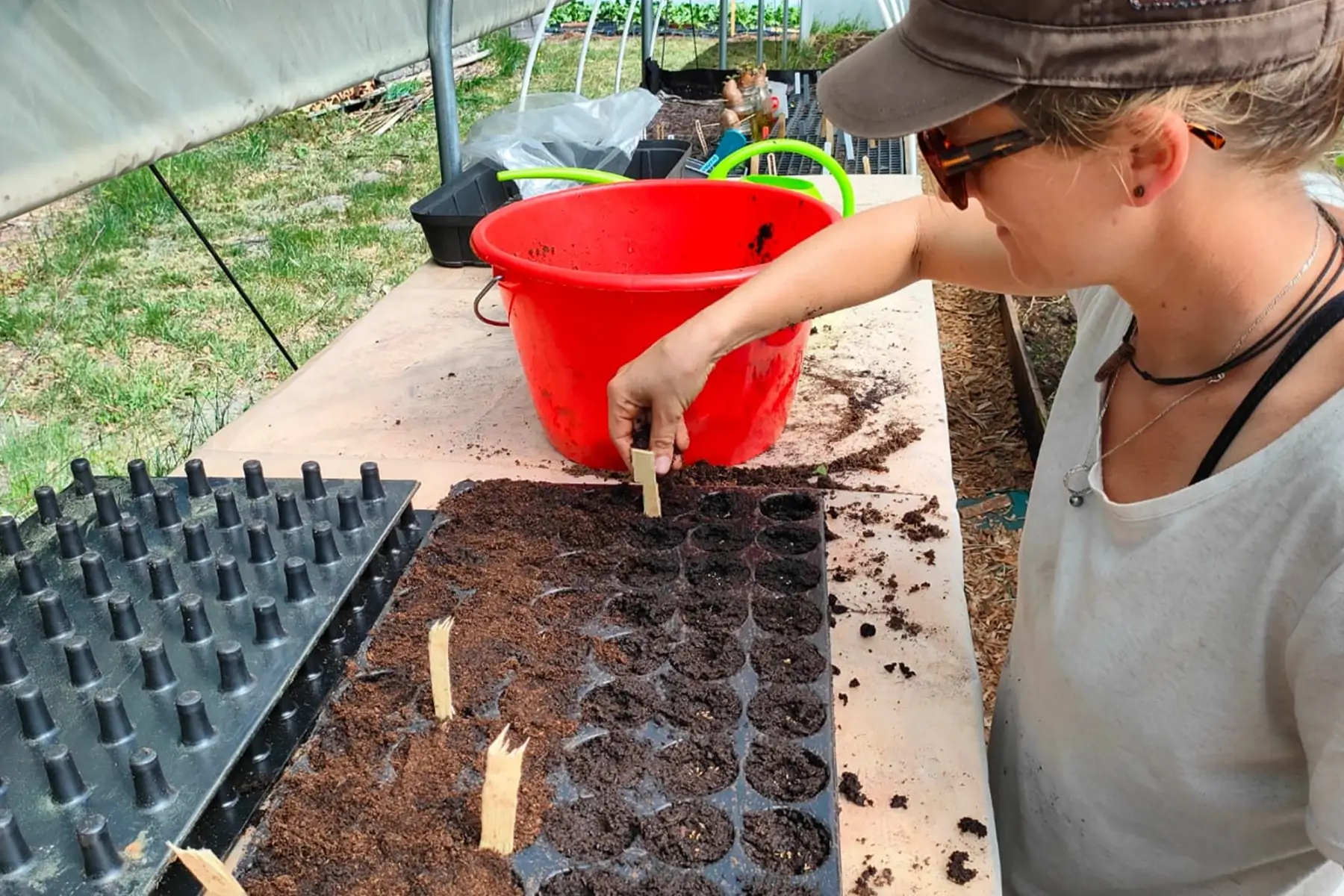 Ferme Terre et Merveilles