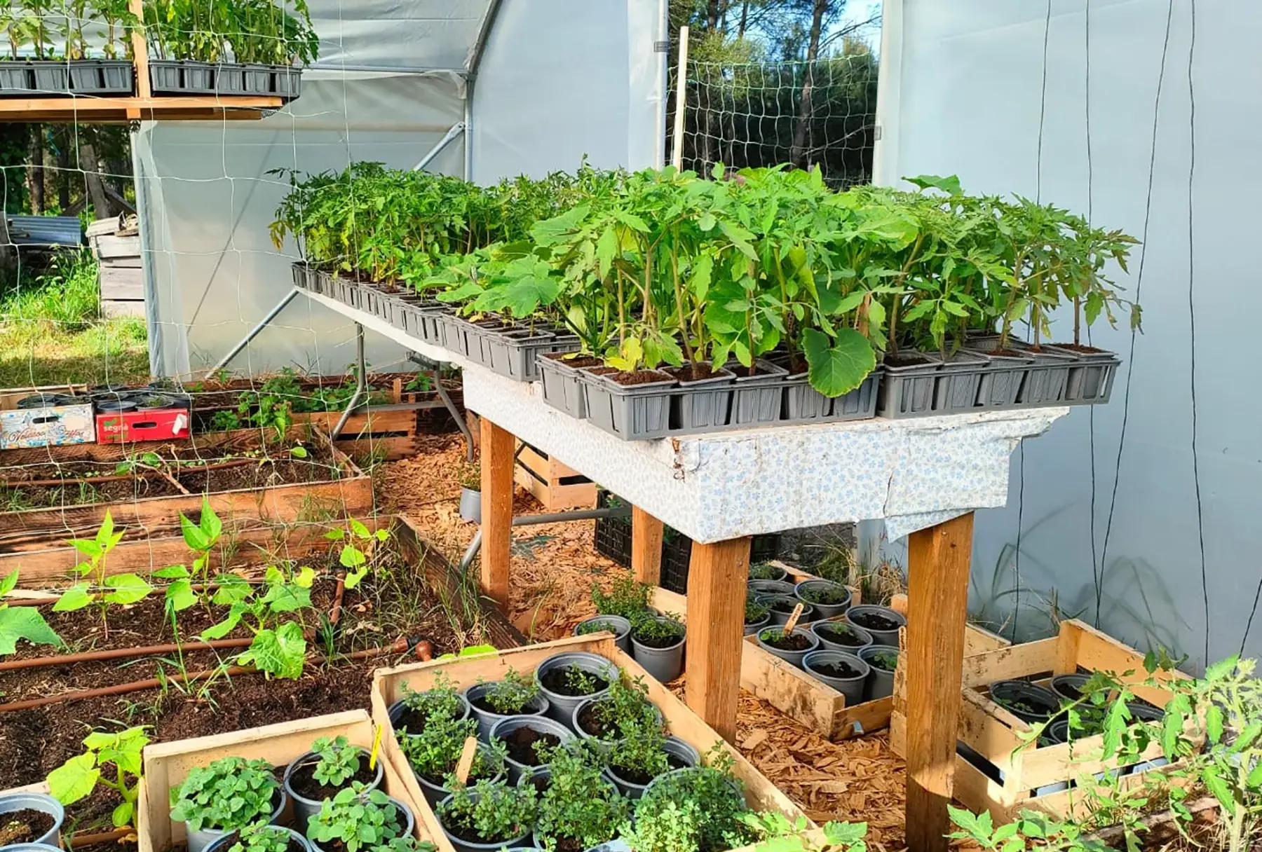 Ferme Terre et Merveilles