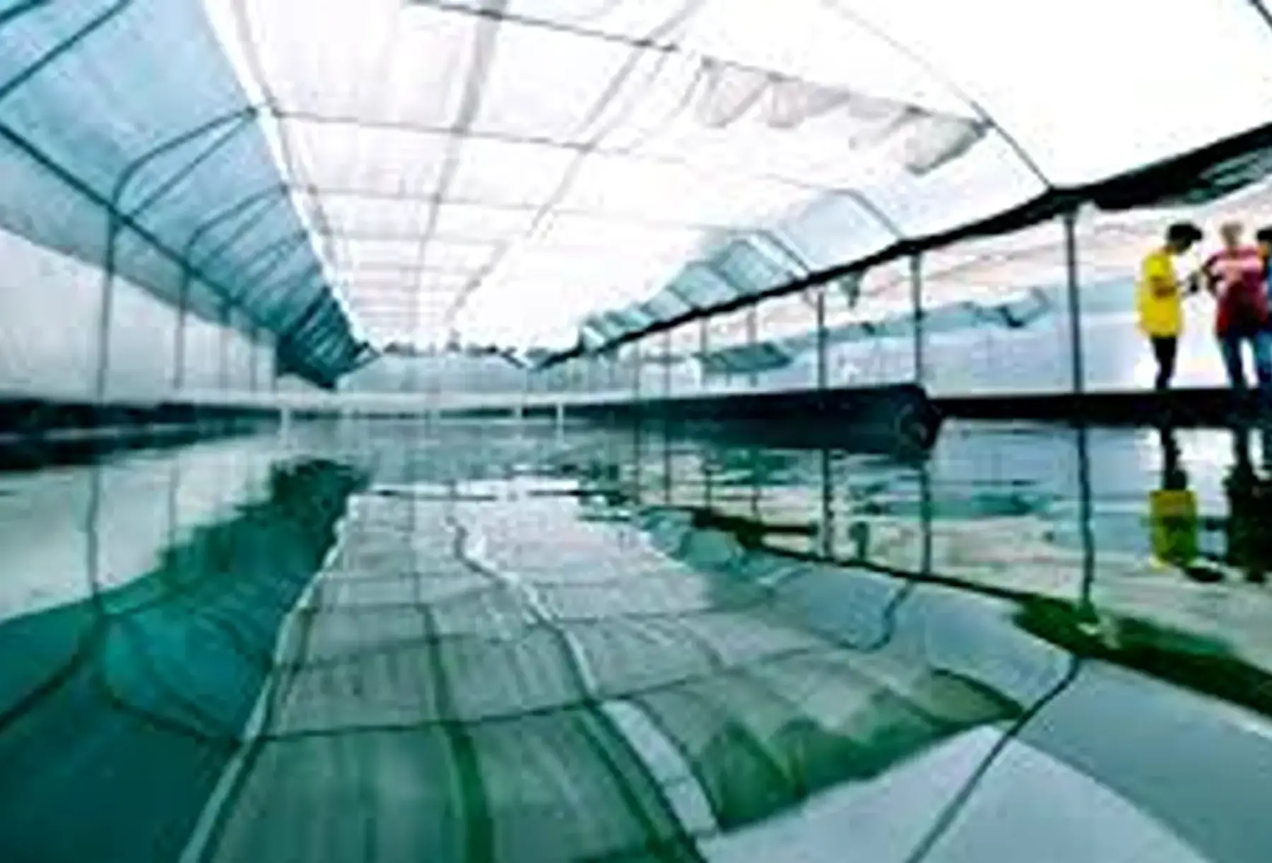 spiruline arc en ciel