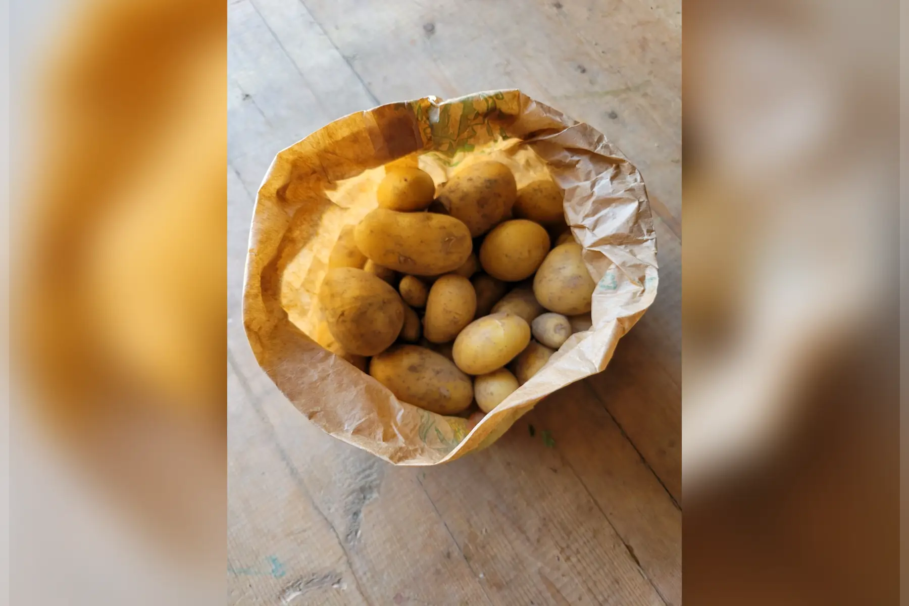 Pomme de terre grenailles
