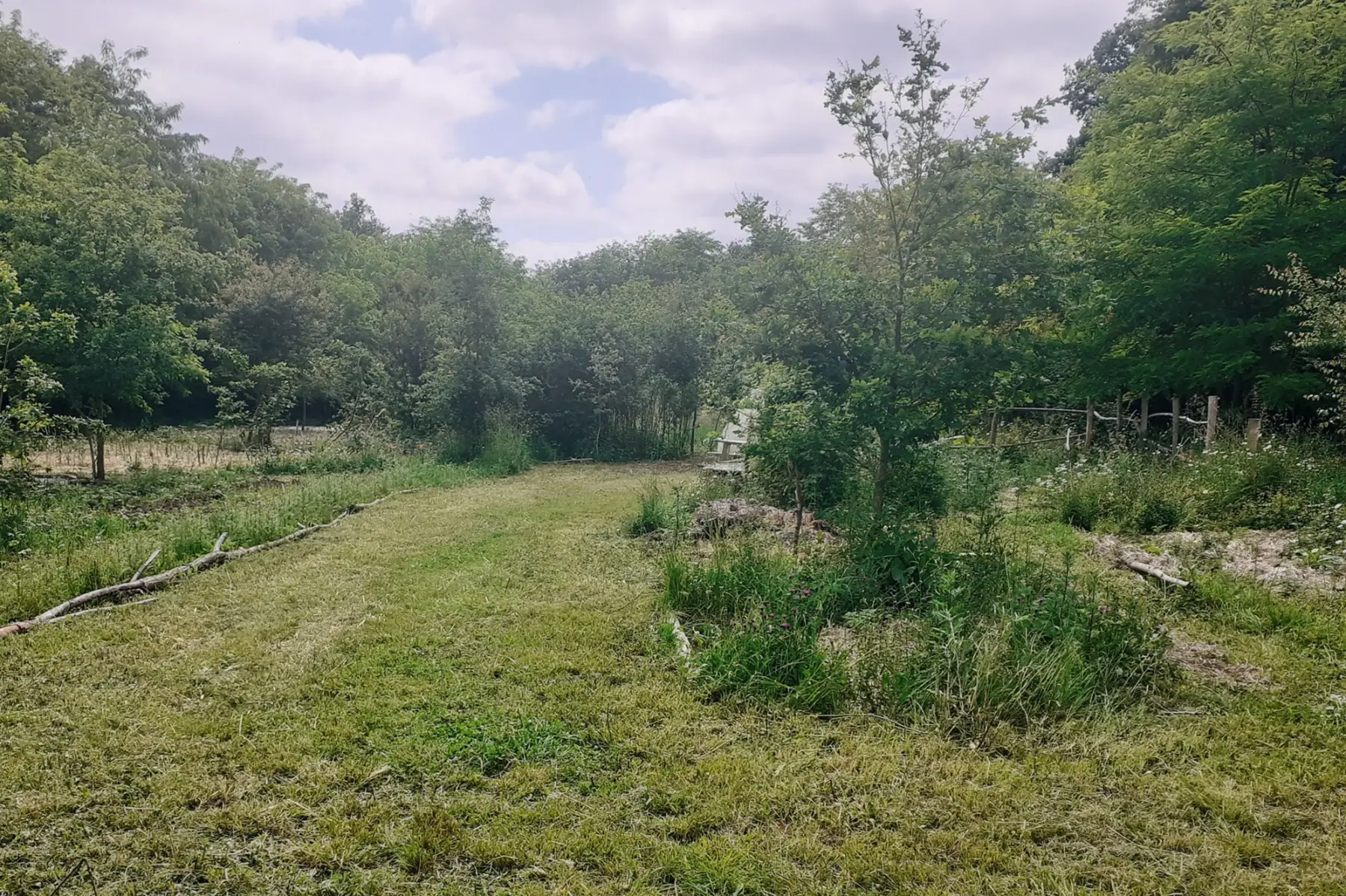 pepins et brindilles