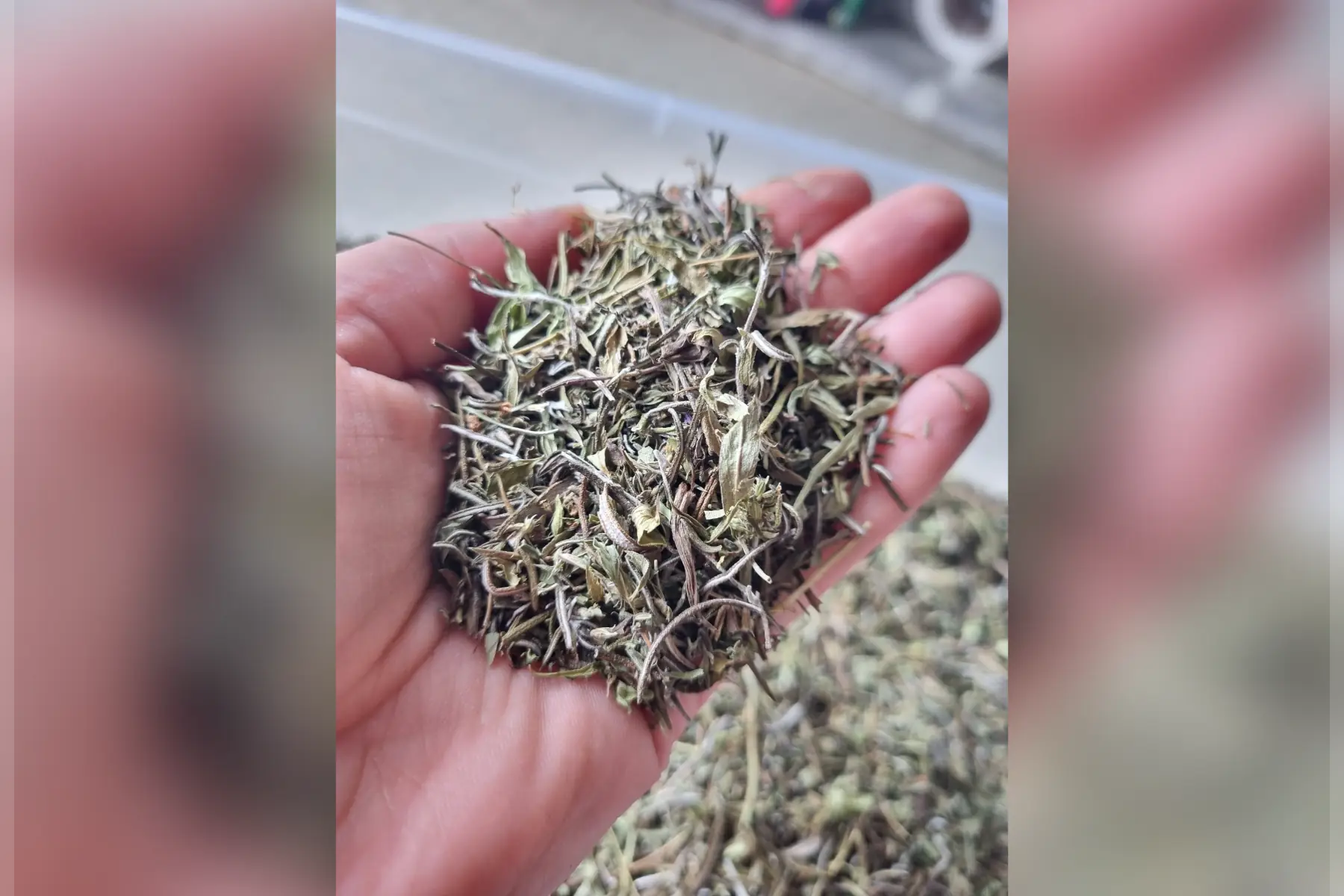 Mélange pour grillades Bio