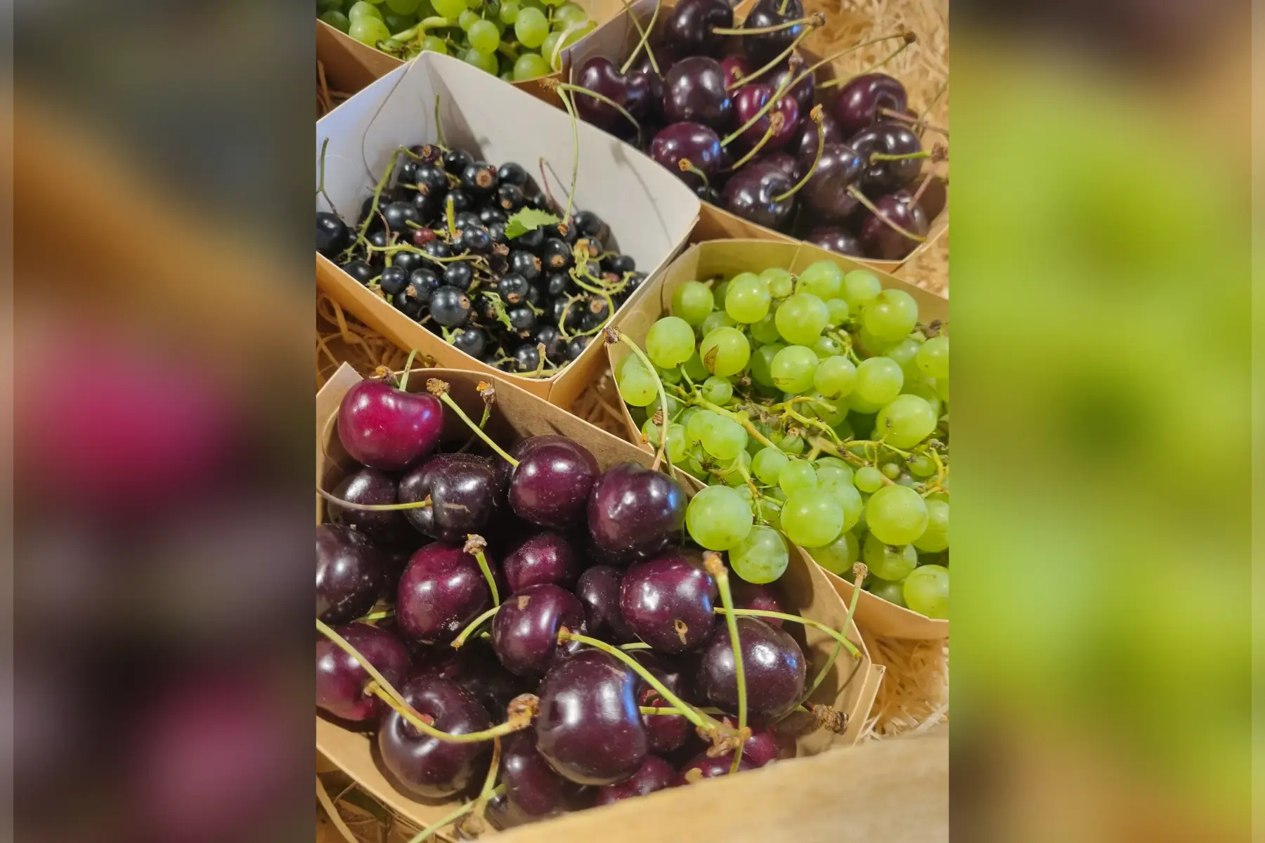 Les Fruits du jardin (au choix)