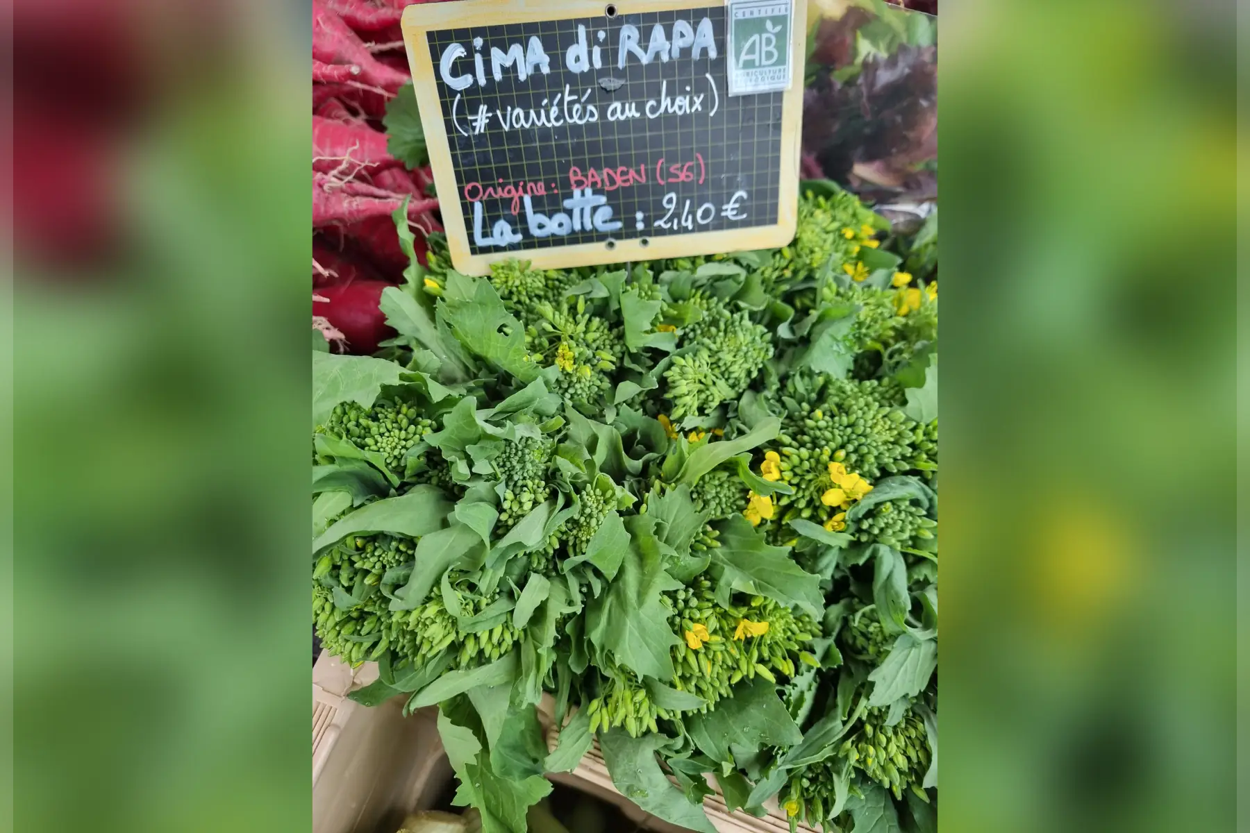 Cima di rapa bio