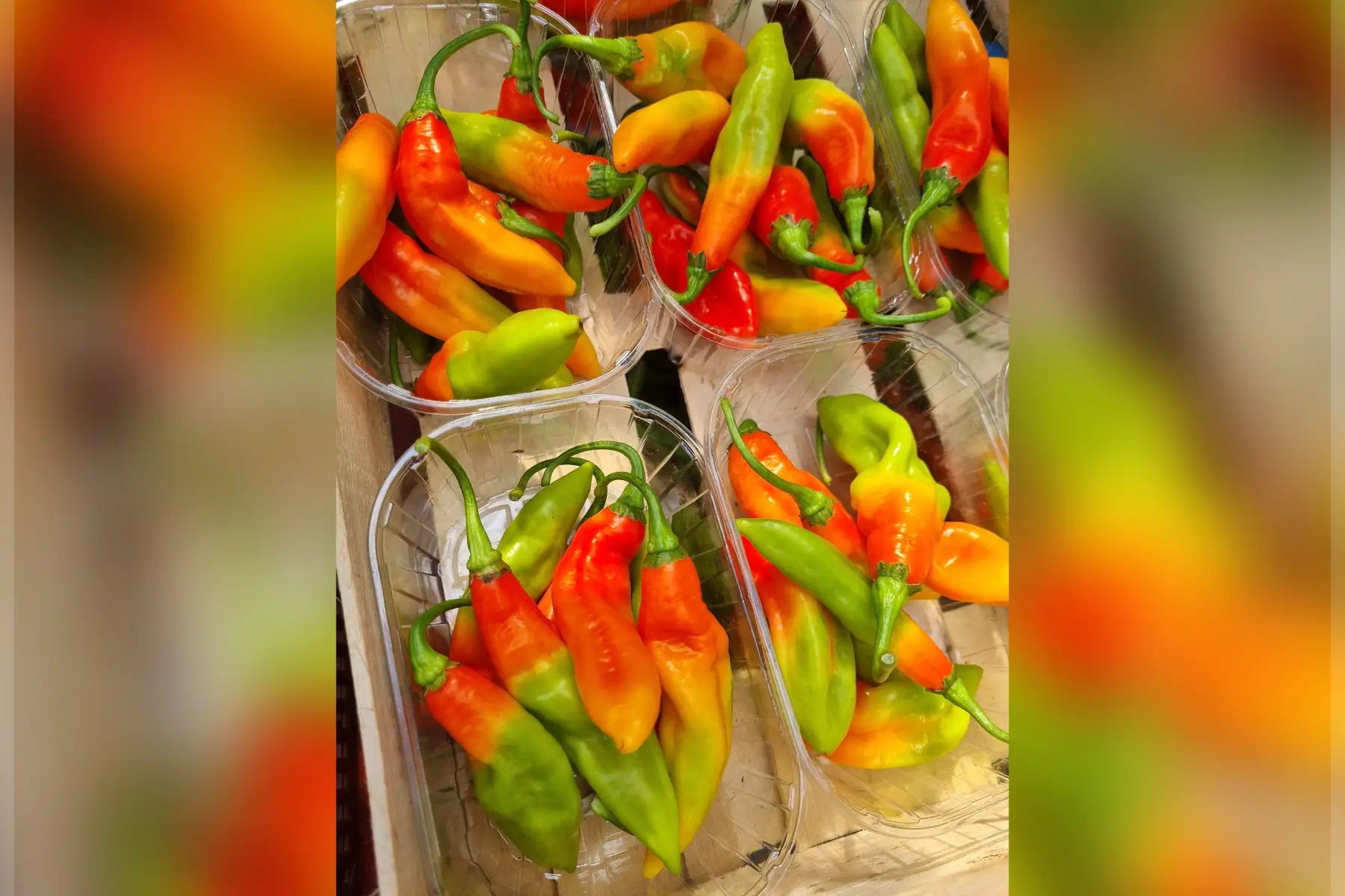 Piment végétarien bio