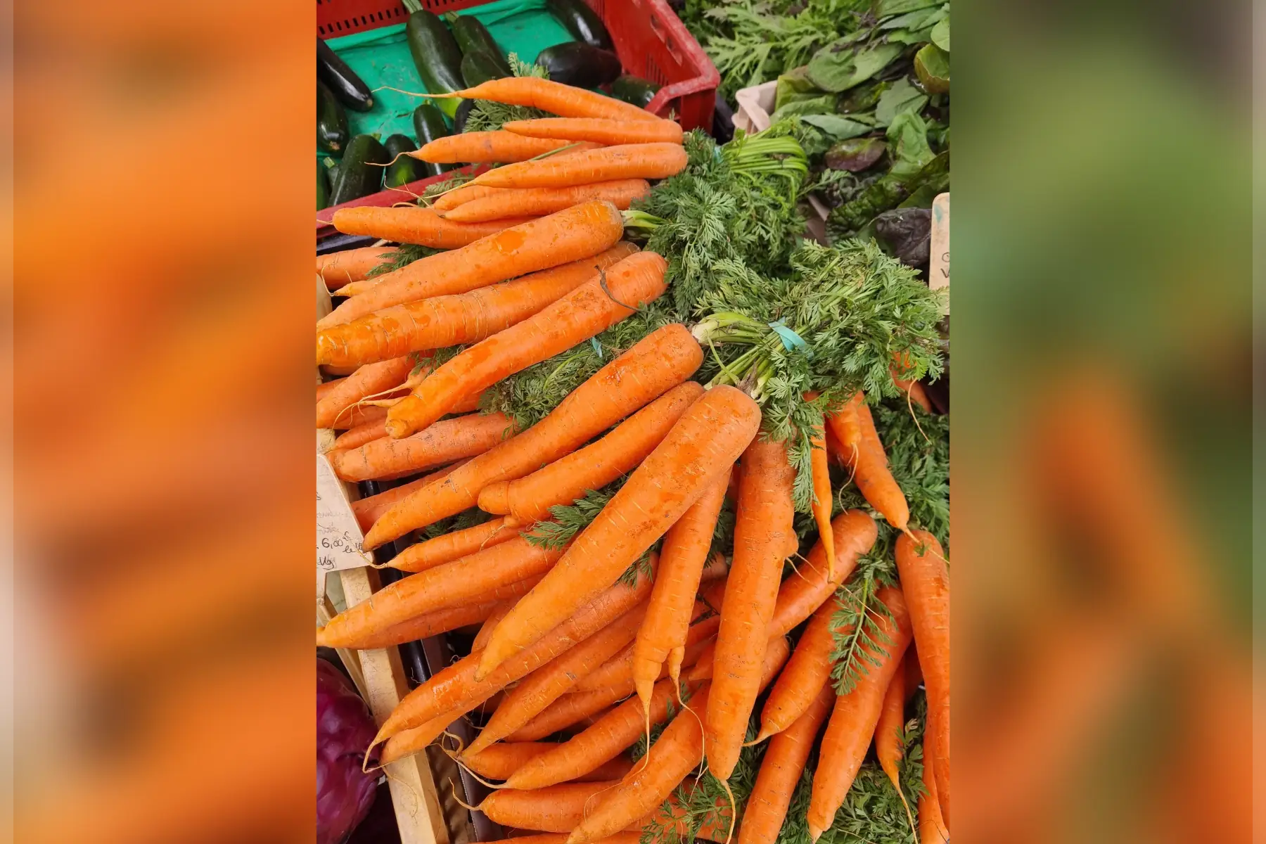 Carottes bio (au choix)