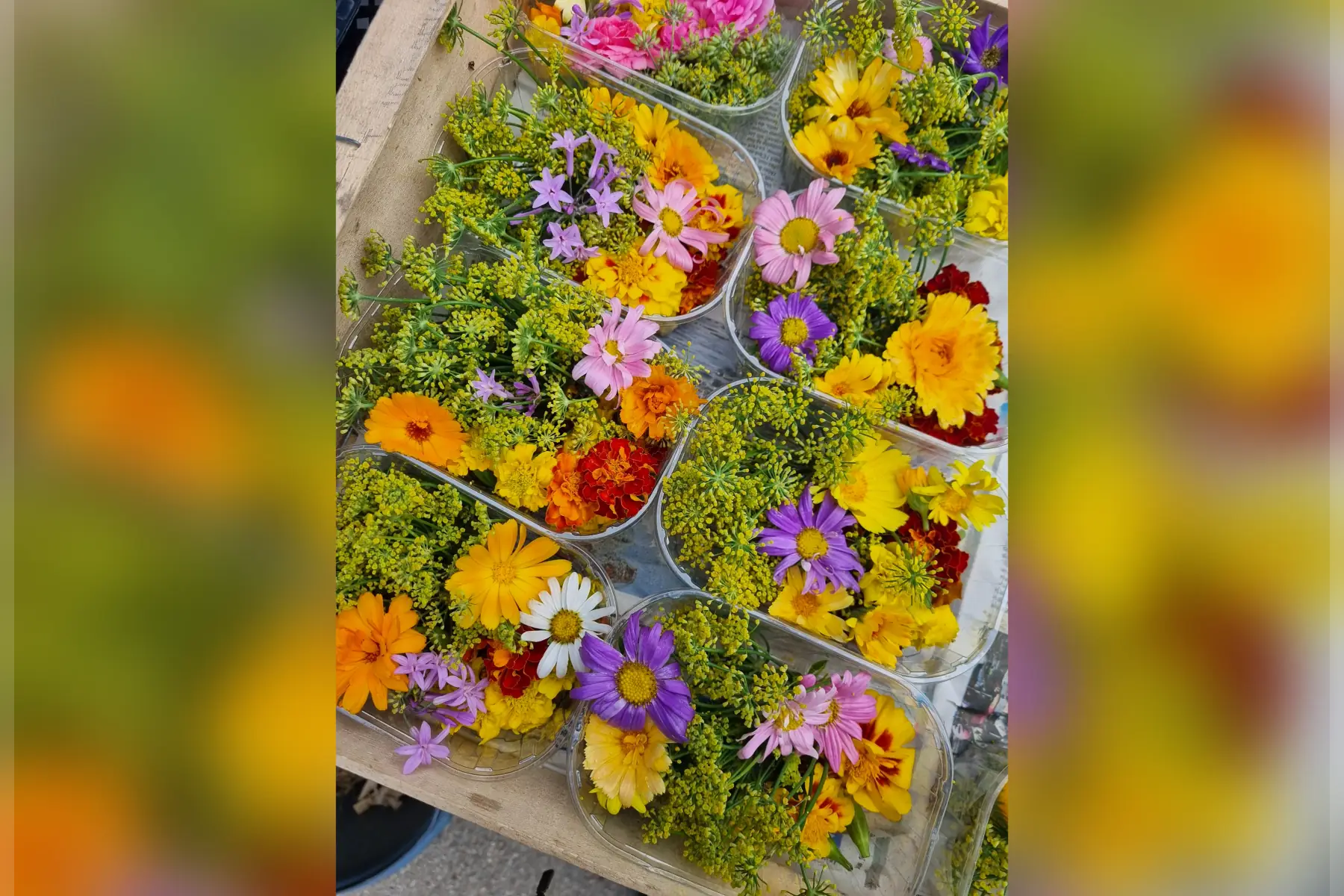 🌸 Fleurs comestibles bio (au choix)