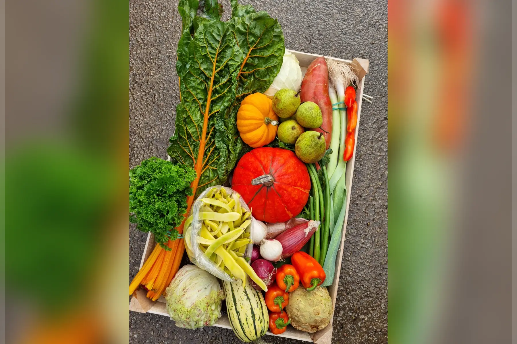 🥗 Nos Paniers de légumes bio