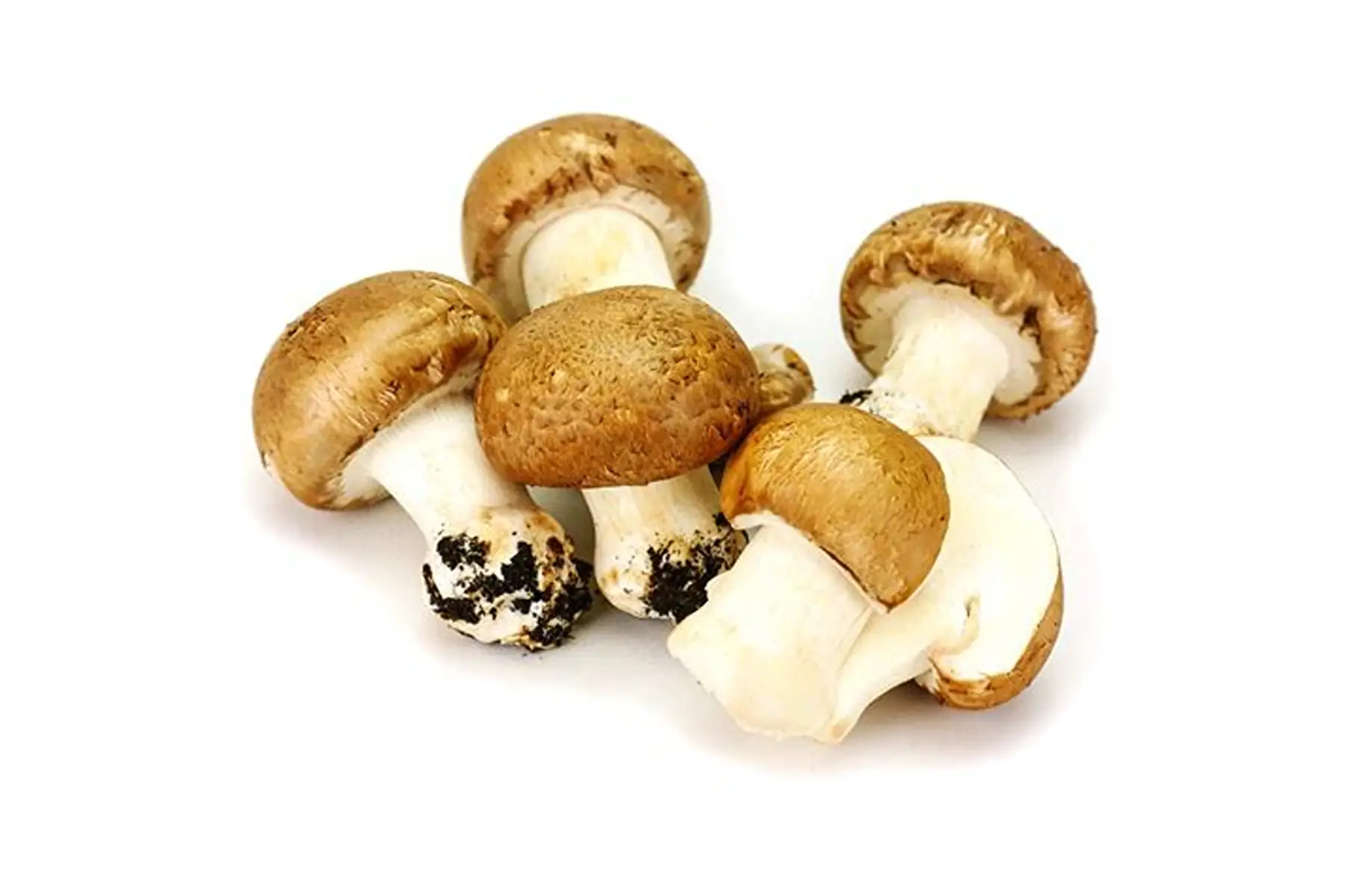 Champignons de Paris bruns bio