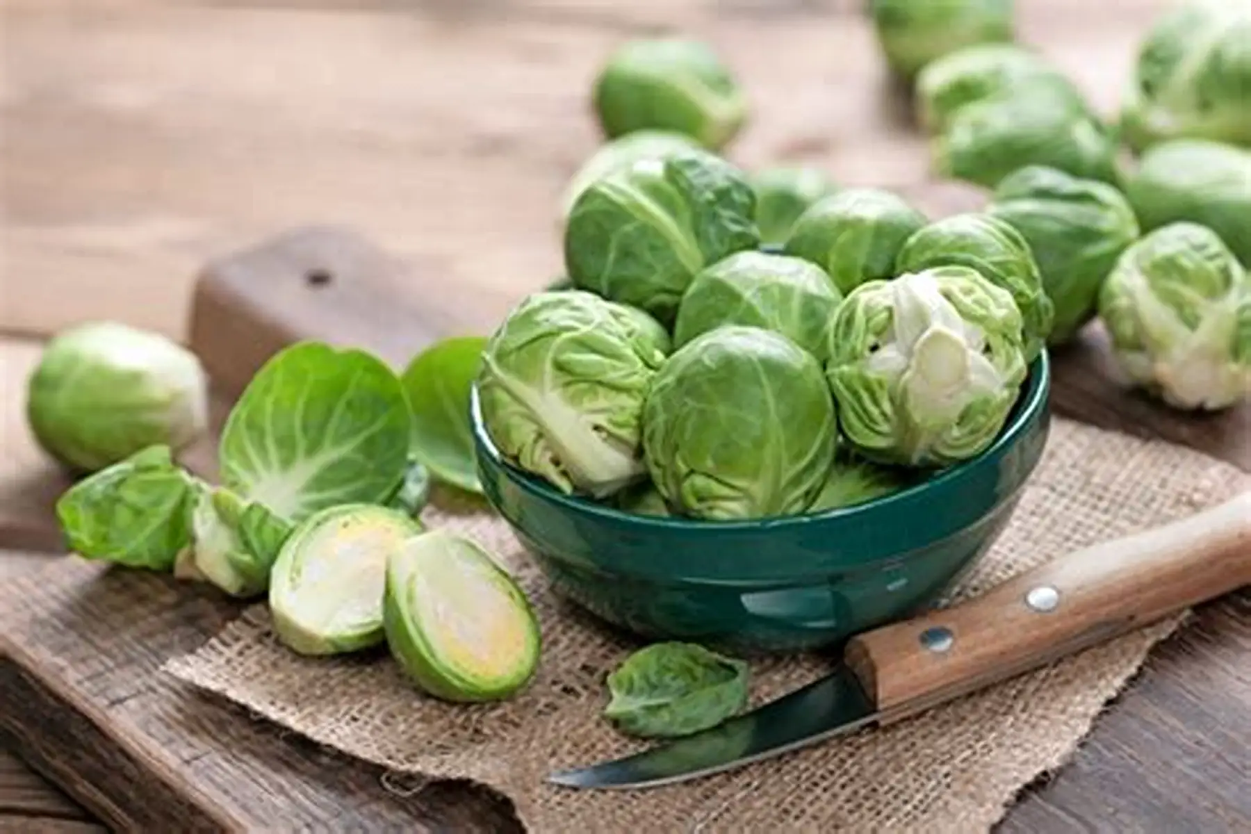 Chou de Bruxelles Bio