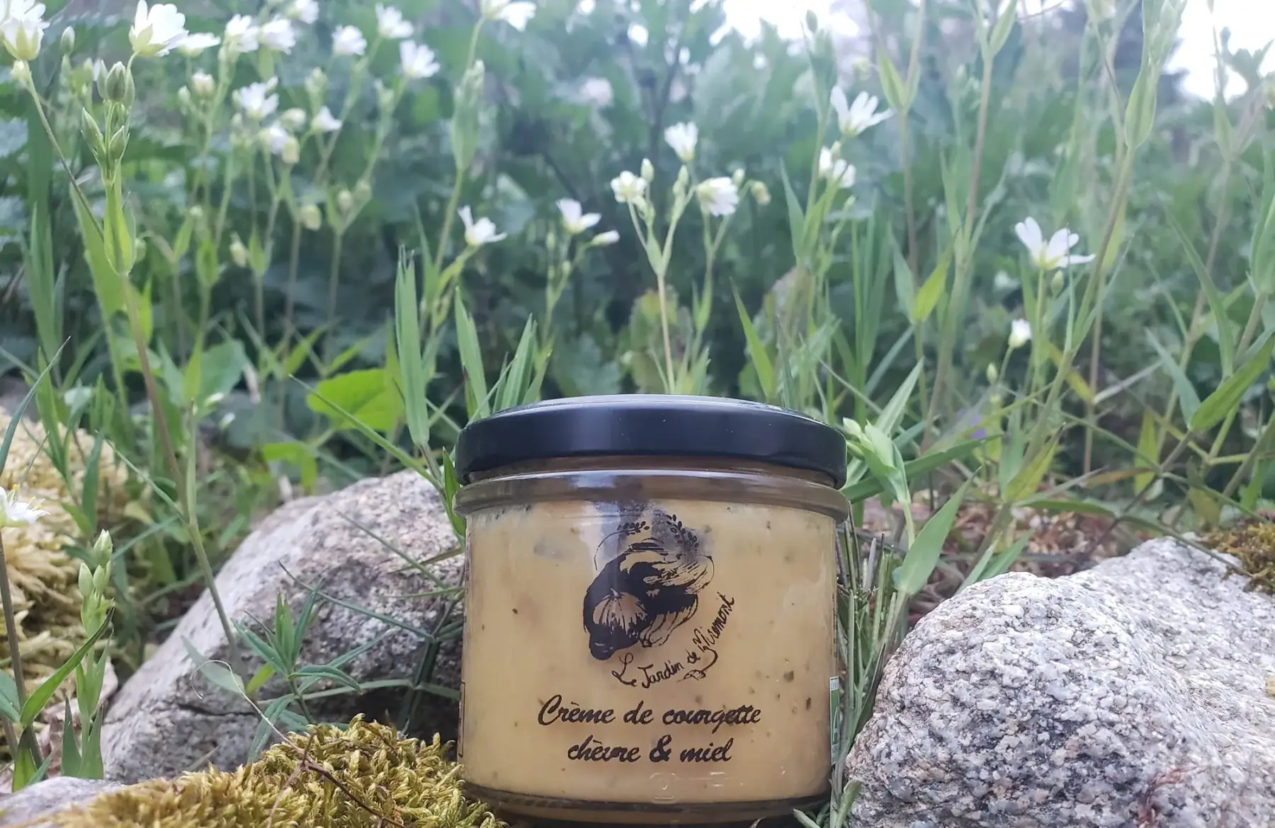 Tartinable / crème de courgette (courgette, fromage de chèvre et miel)