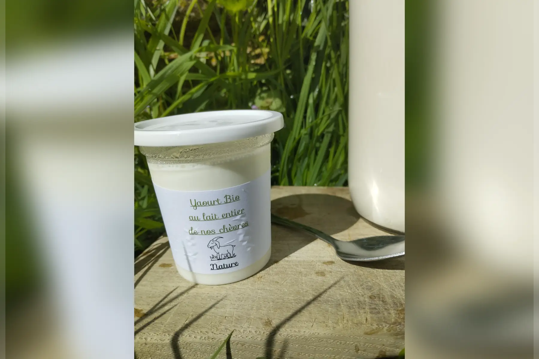 Yaourt chèvre Nature