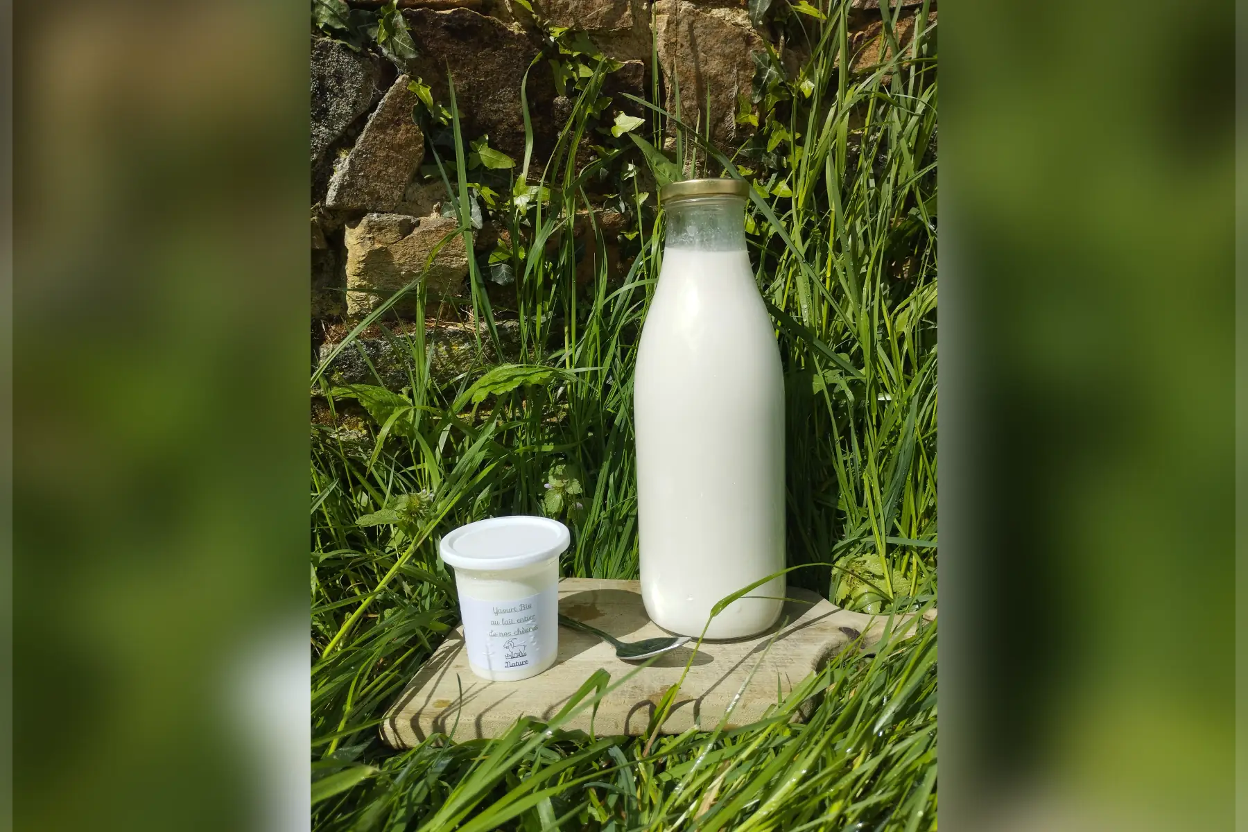 Yaourt chèvre crème de marron