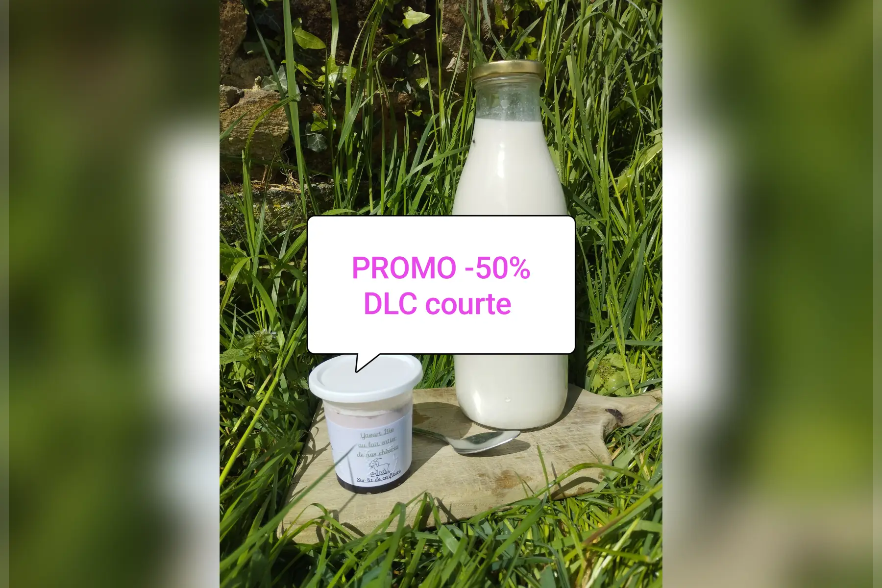 Promo yaourts chèvre confiture myrtille