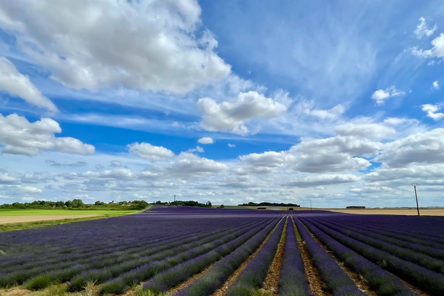 Ecoferme des mille et une feuilles