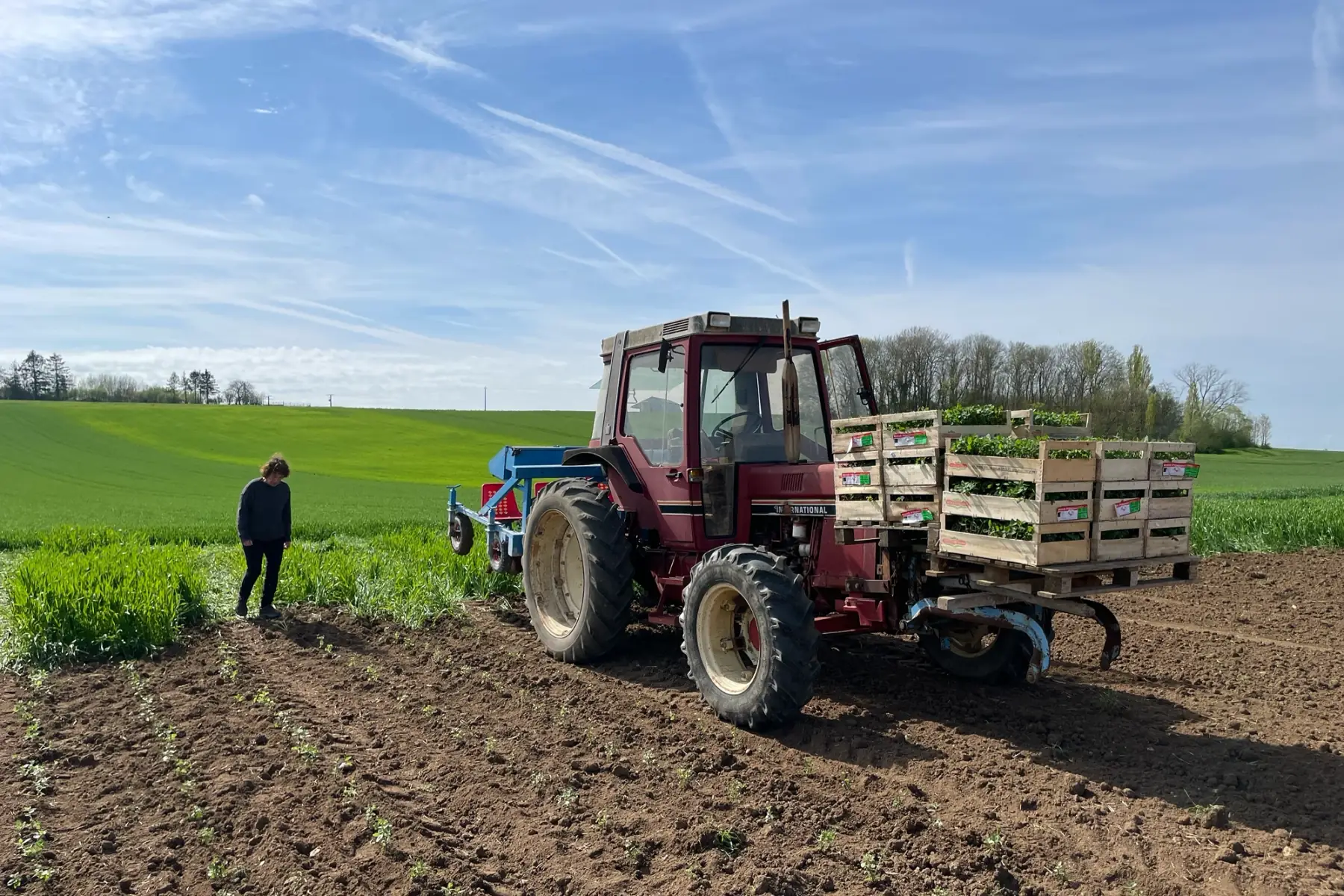 Ecoferme des mille et une feuilles